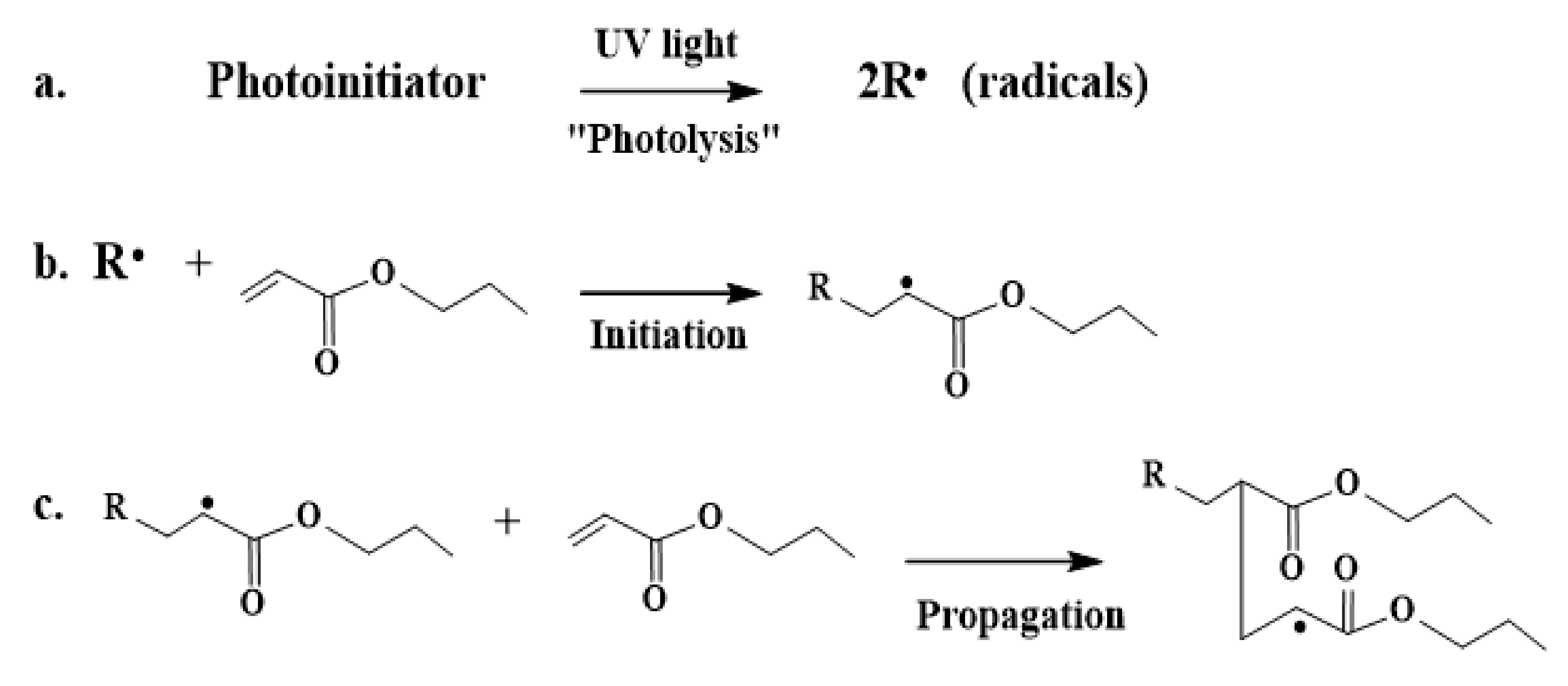 Polymers 13 01865 g003
