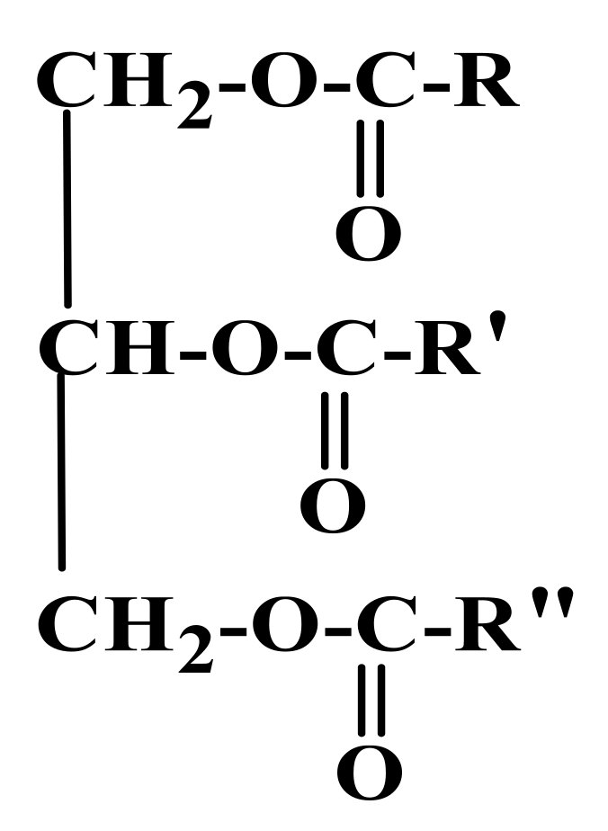 Polymers 13 01865 g006