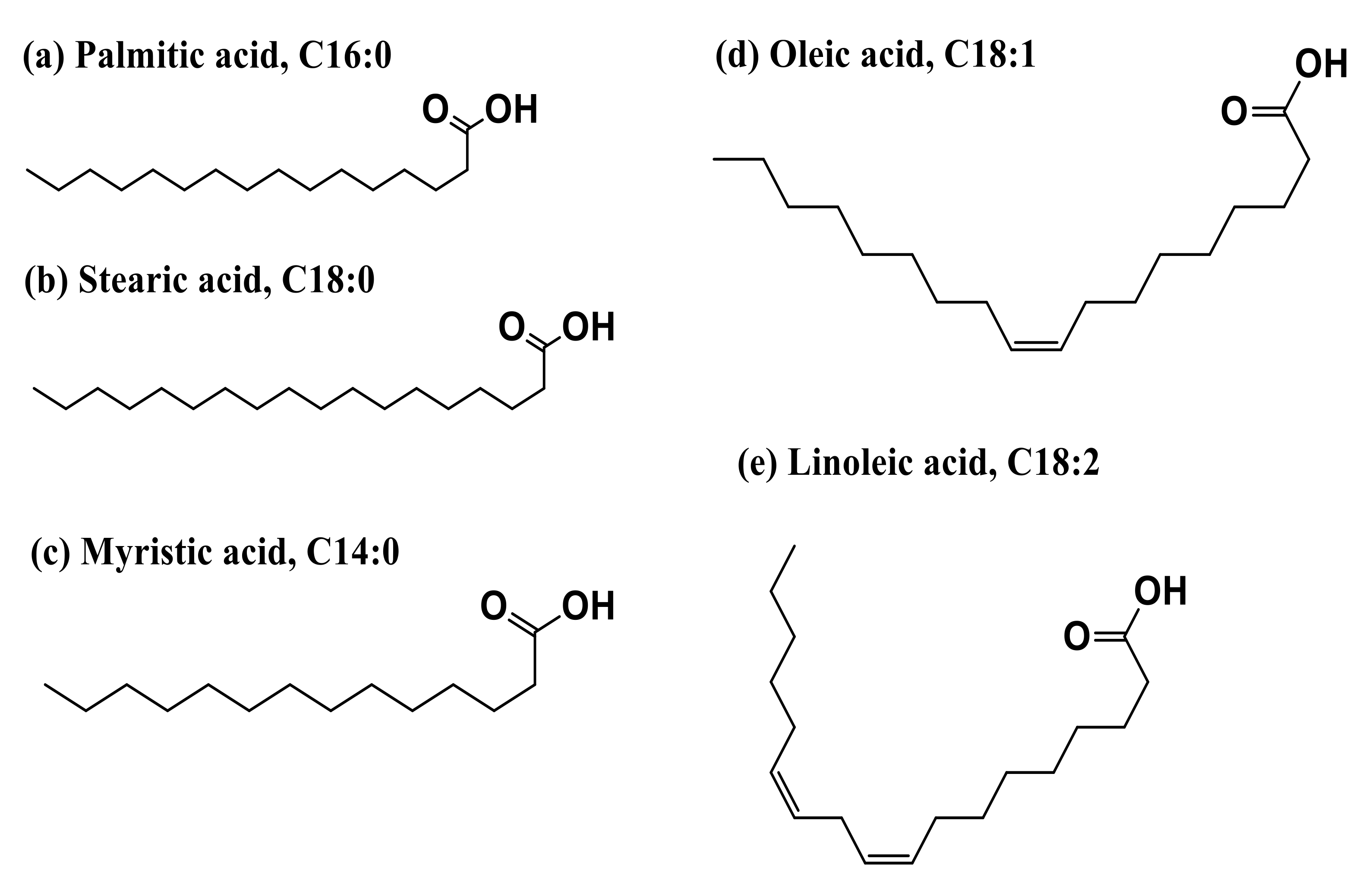 Polymers 13 01865 g007