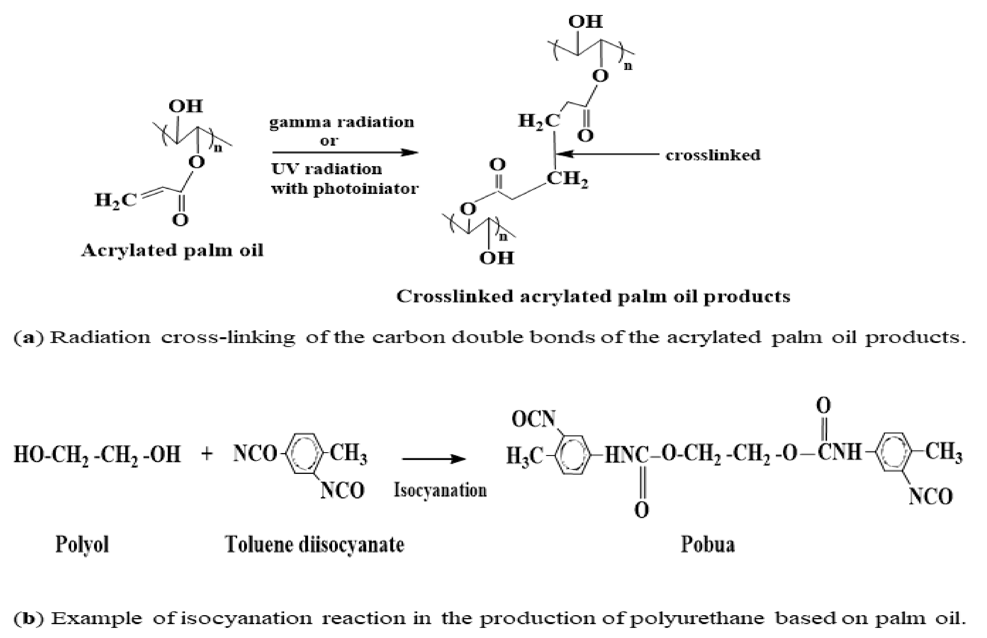 Polymers 13 01865 g009