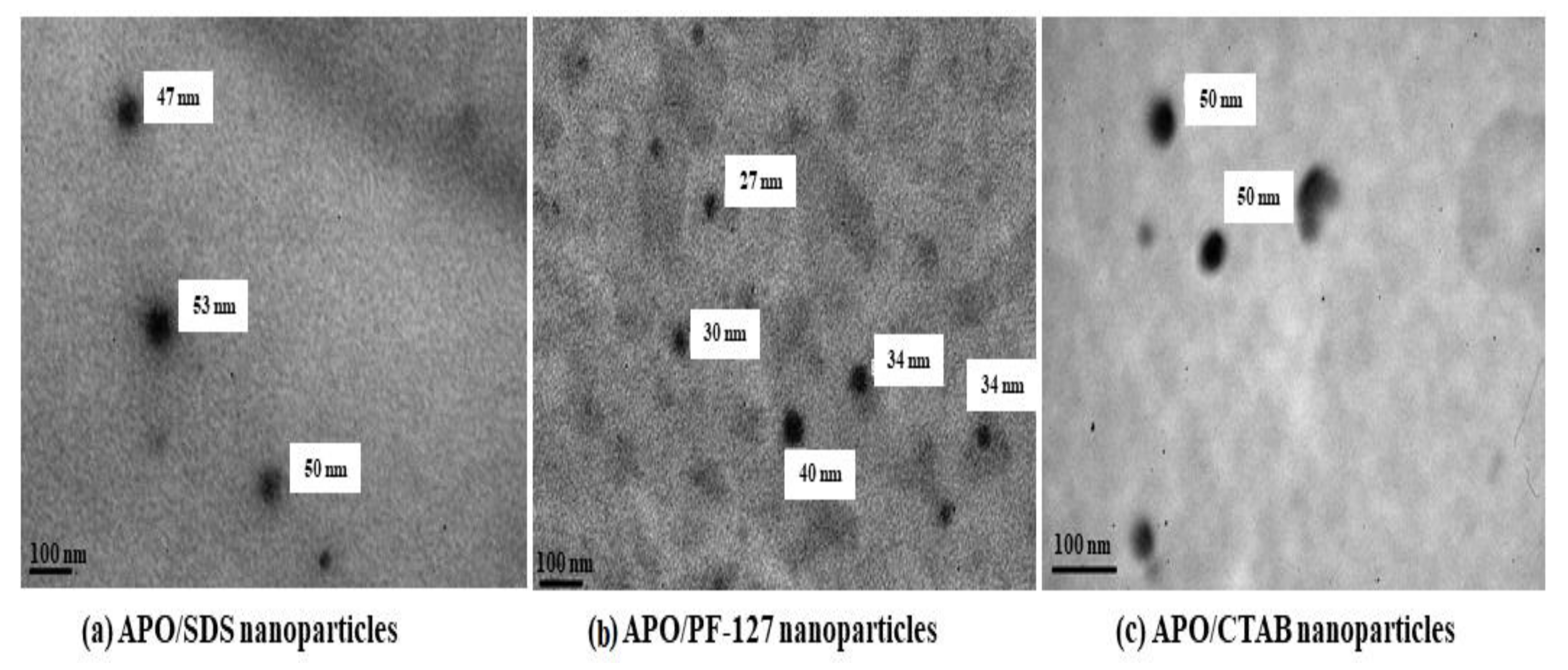 Polymers 13 01865 g011