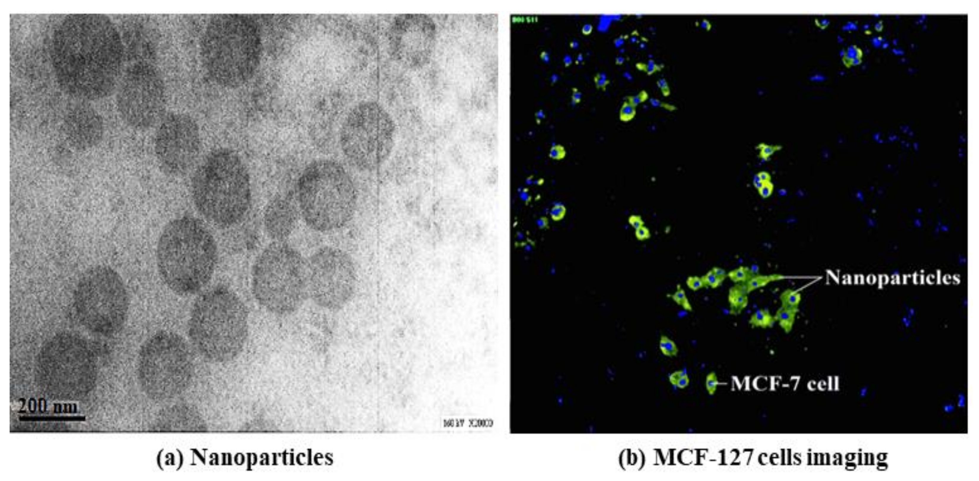 Polymers 13 01865 g013