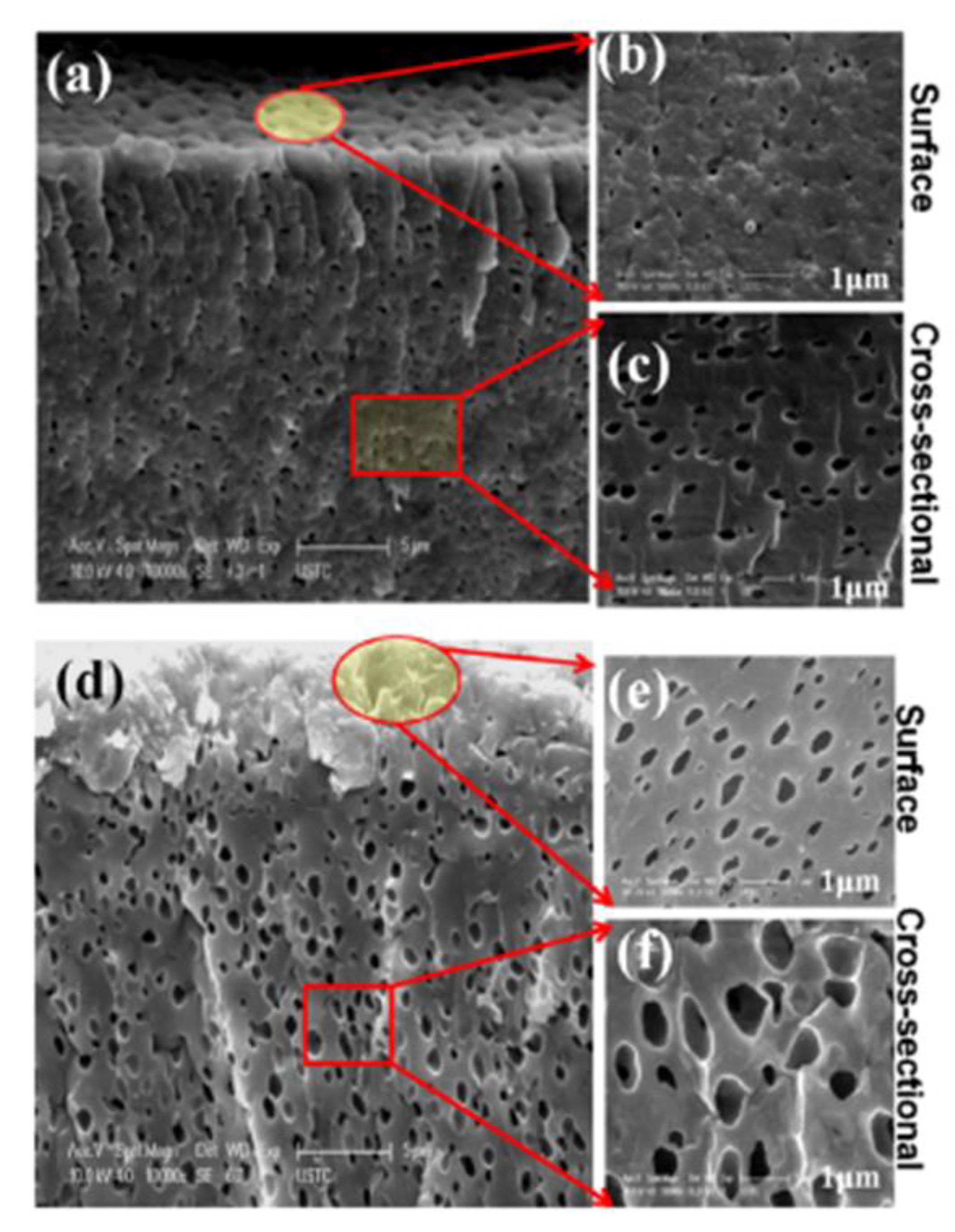 Polymers 13 01874 g002 Polymers 13 01874 g002