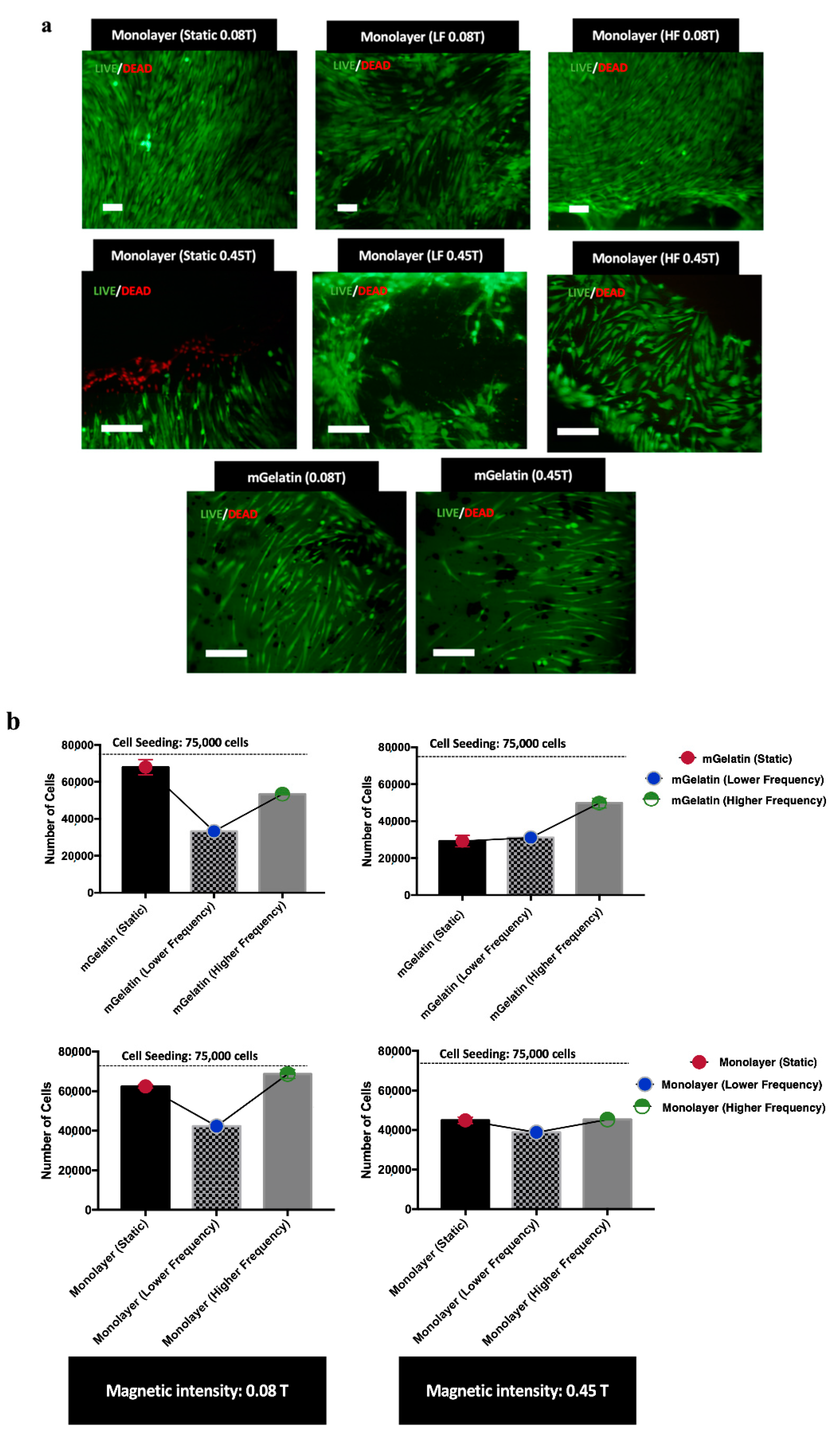 Polymers 13 01883 g003