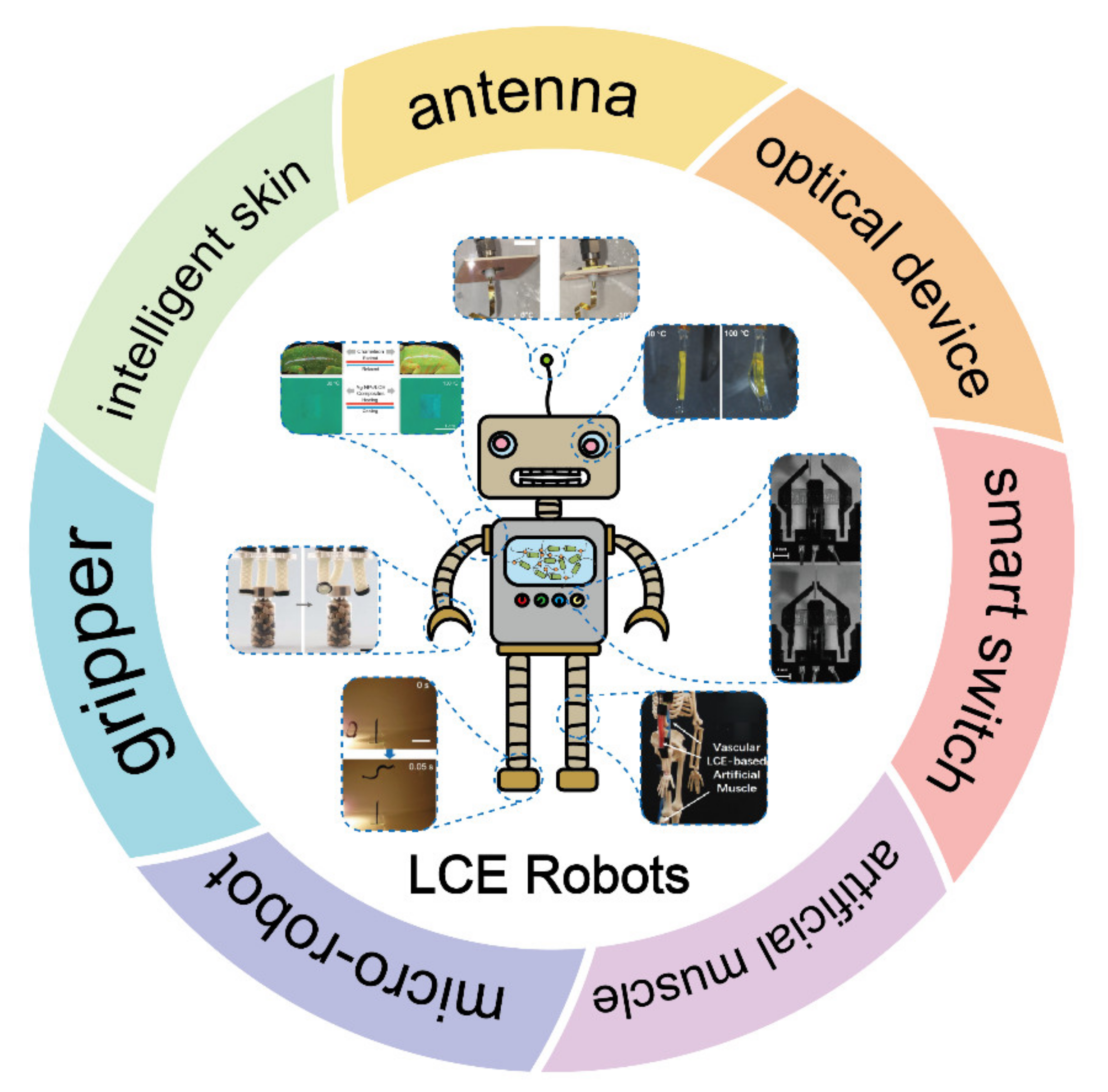 Polymers 13 01889 g001
