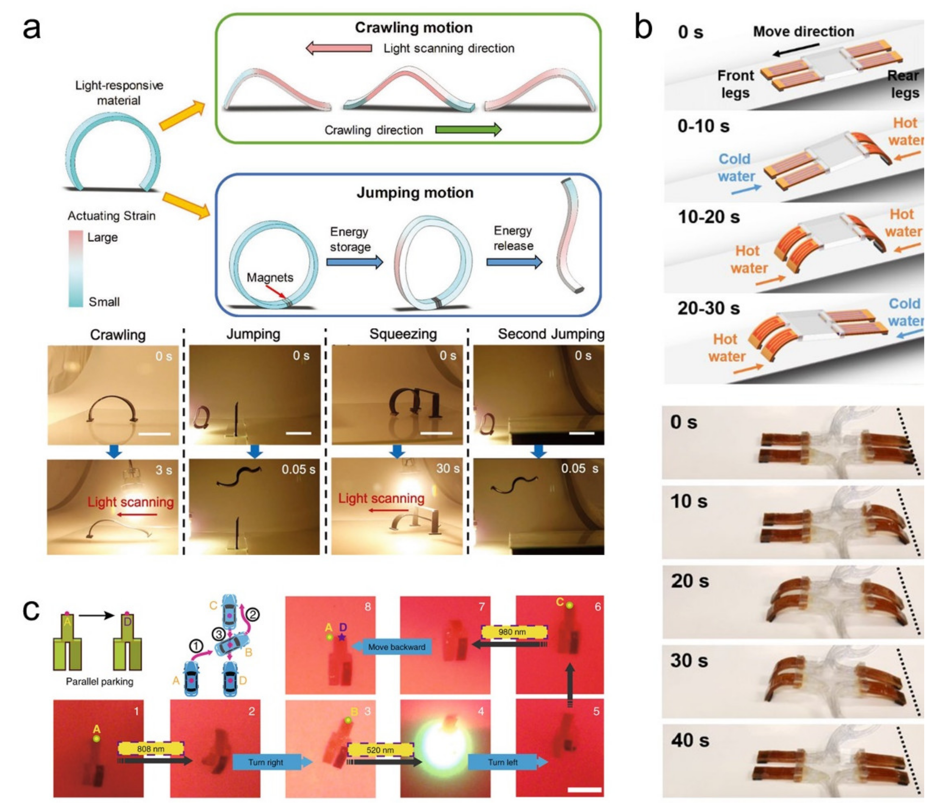 Polymers 13 01889 g007