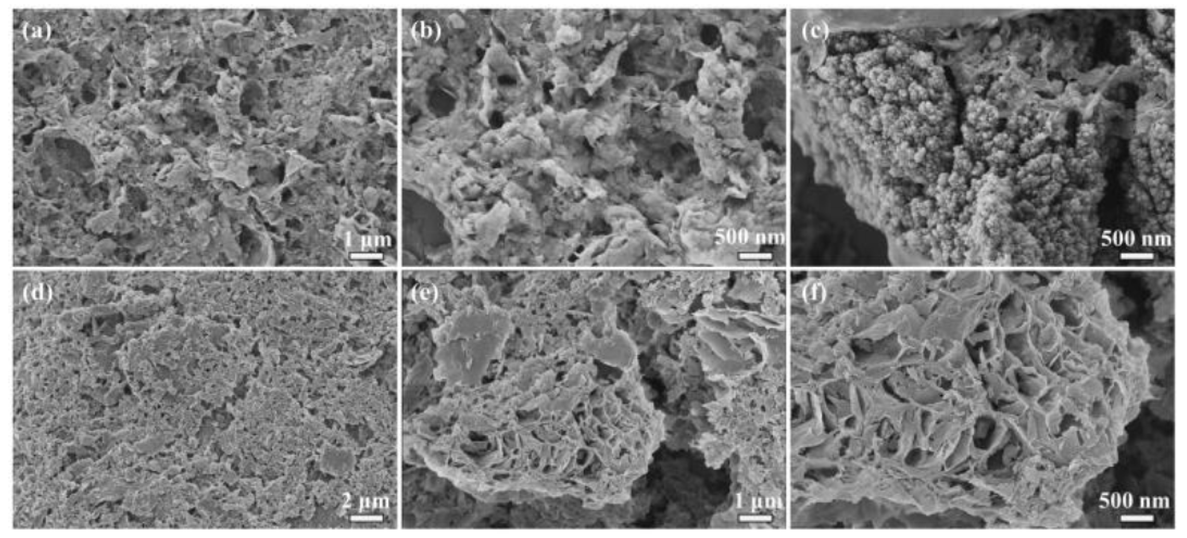 Polymers 13 01891 g003 Polymers 13 01891 g003