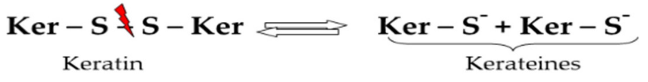 Polymers 13 01896 g002