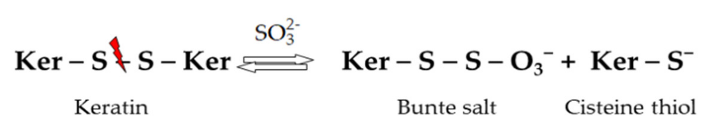 Polymers 13 01896 g003