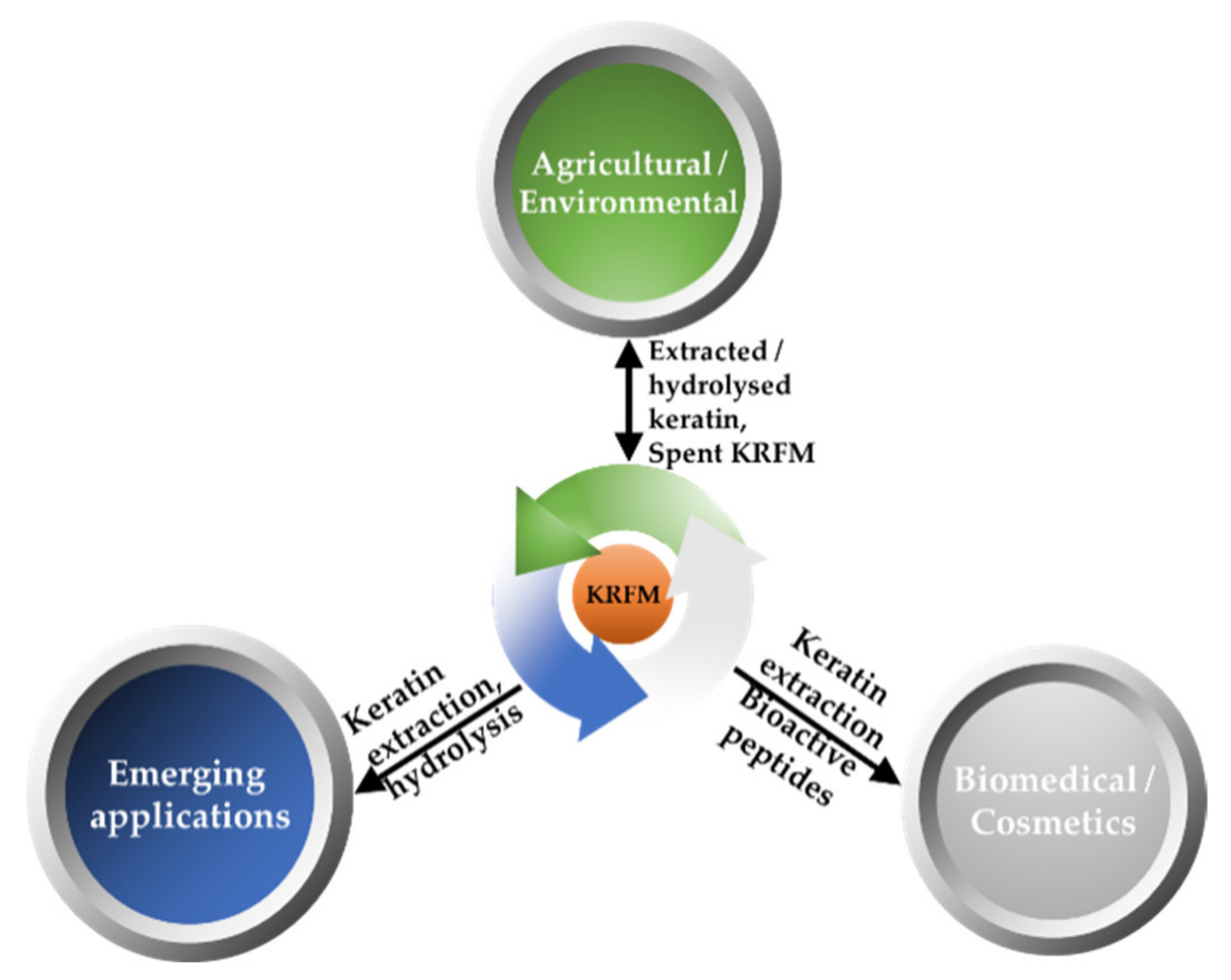 Polymers 13 01896 g004