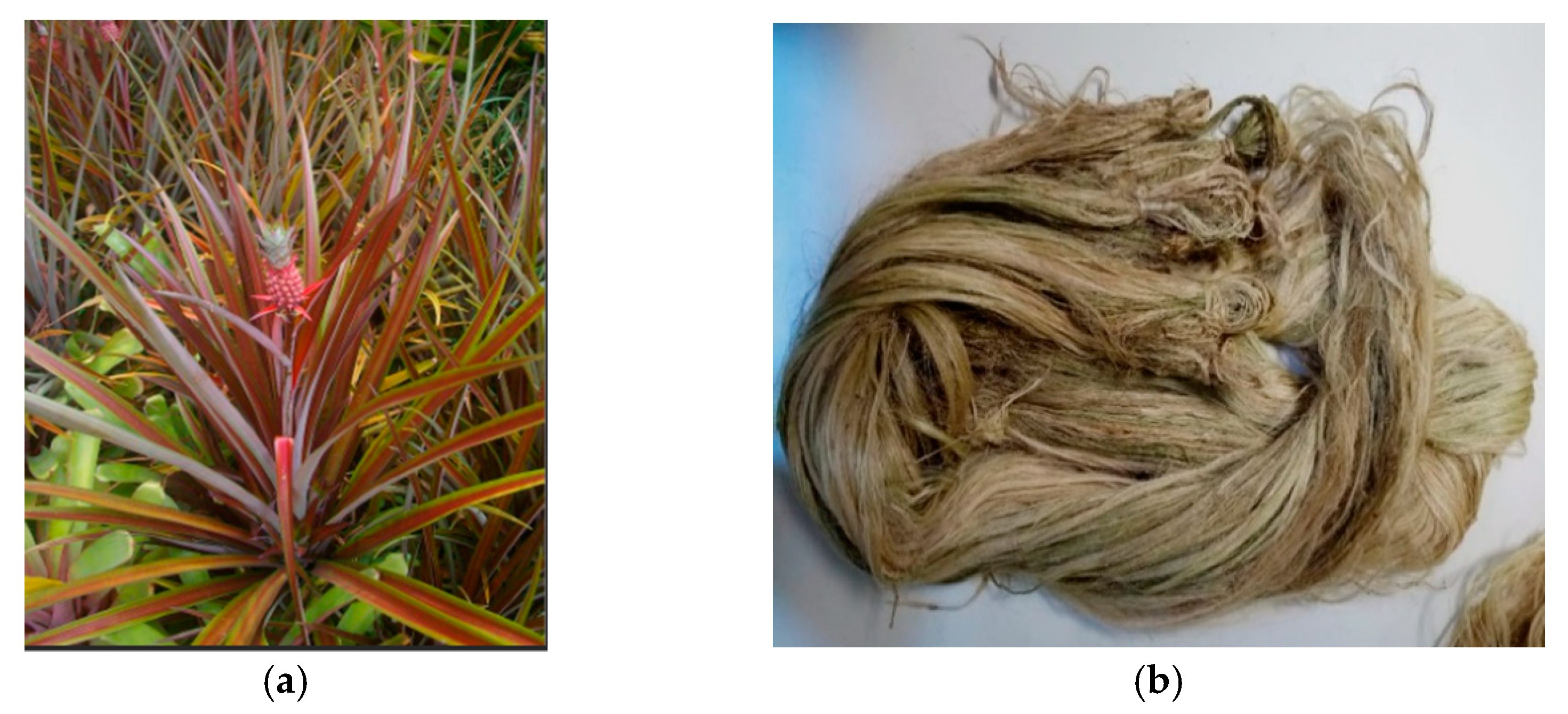 Polymers 13 01897 g001