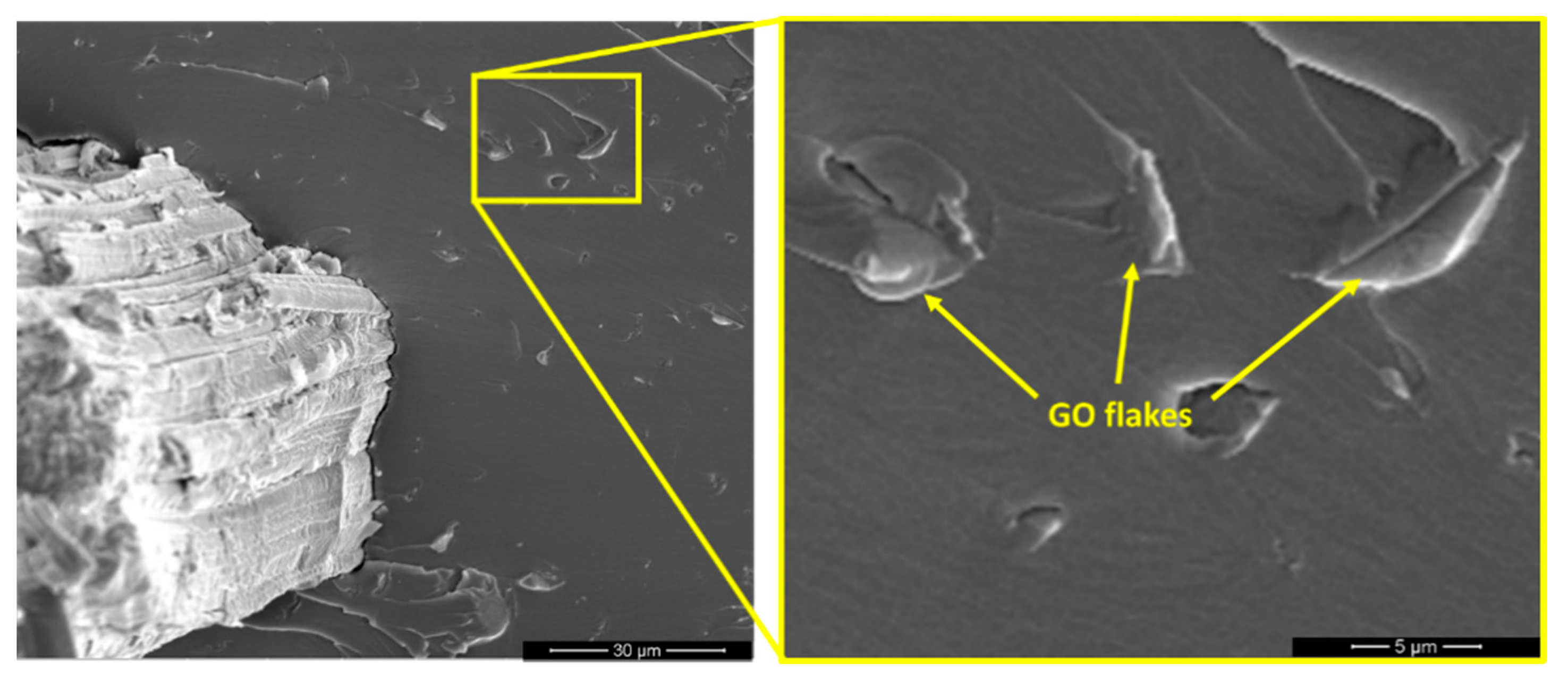 Polymers 13 01897 g006