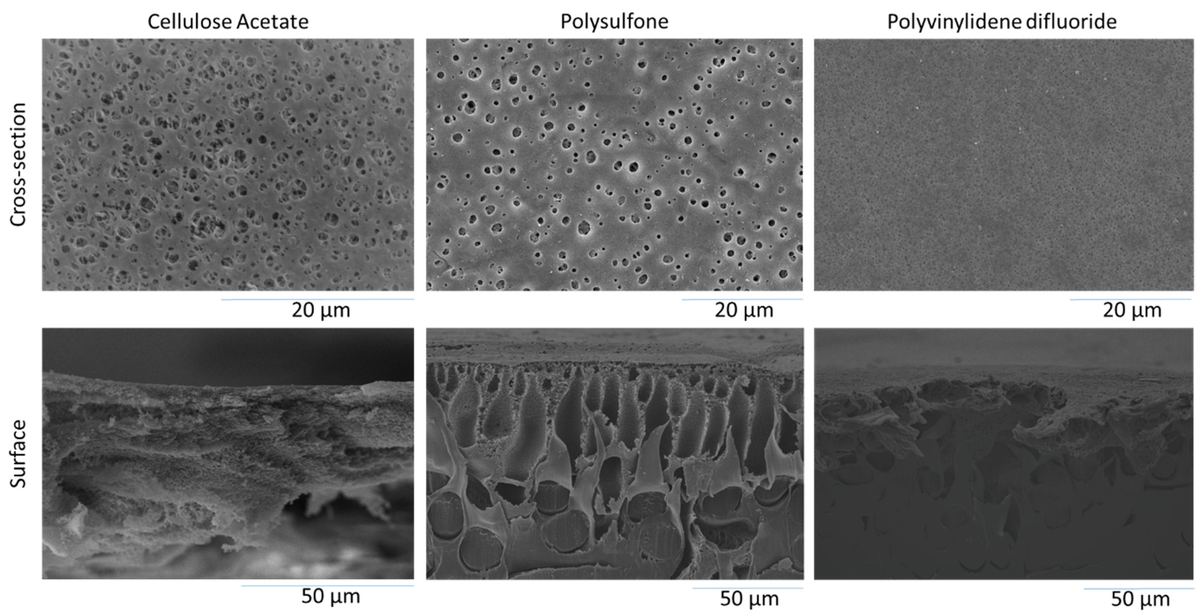 Polymers 13 01907 g002