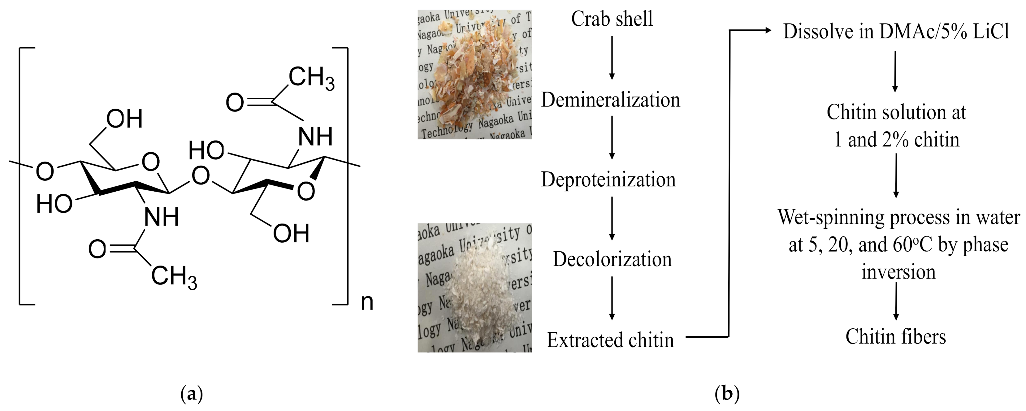Polymers 13 01909 g001