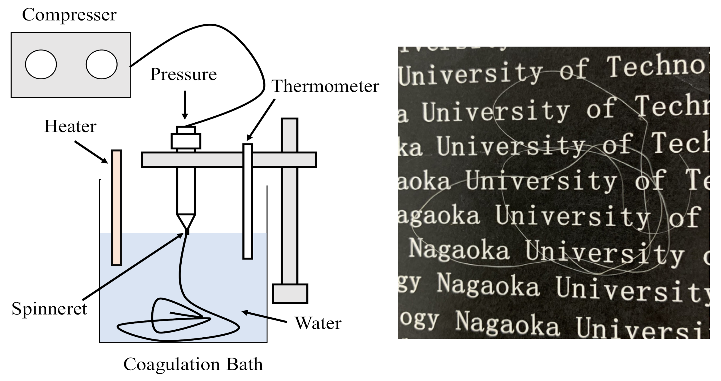 Polymers 13 01909 g002