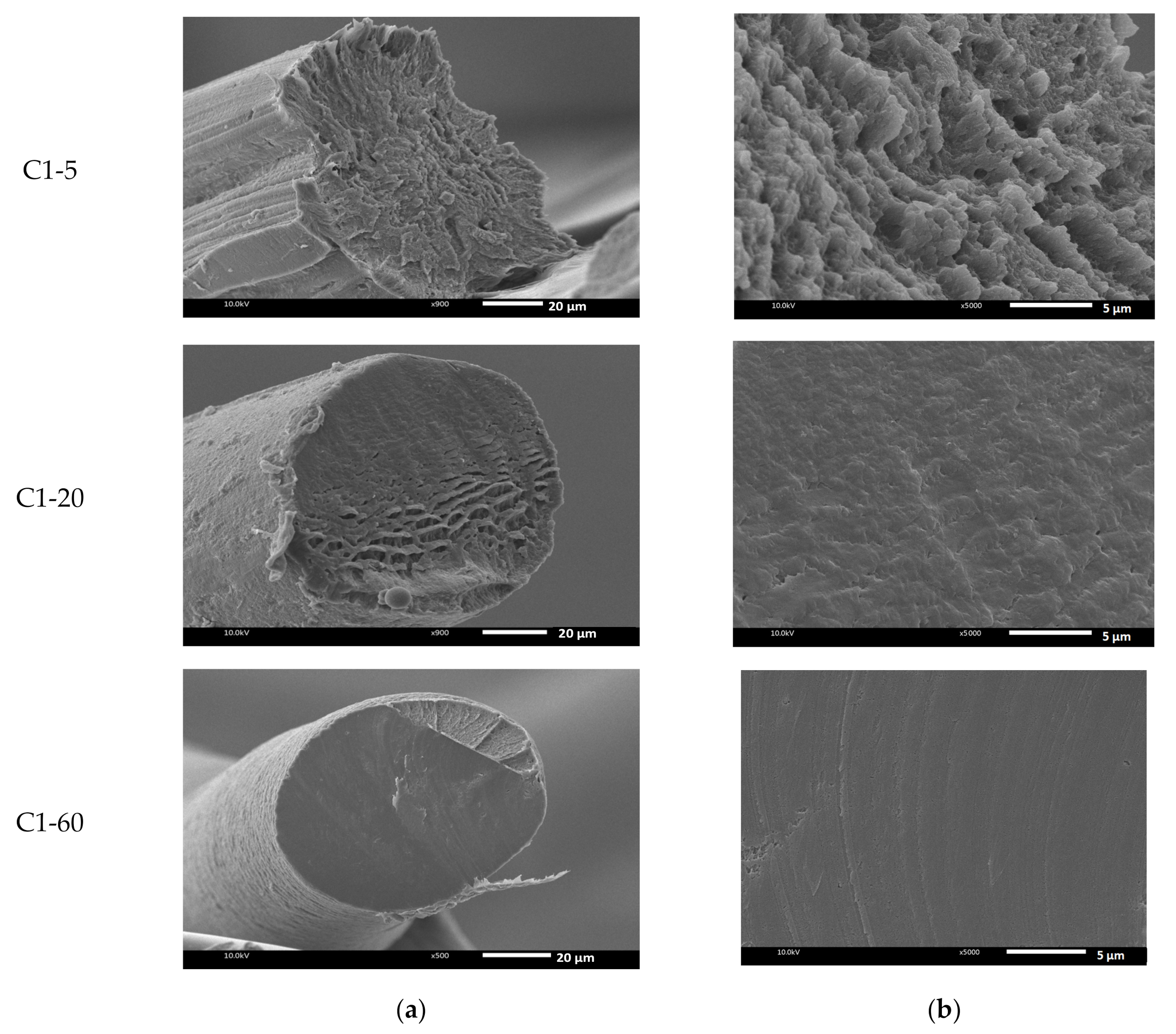 Polymers 13 01909 g004b