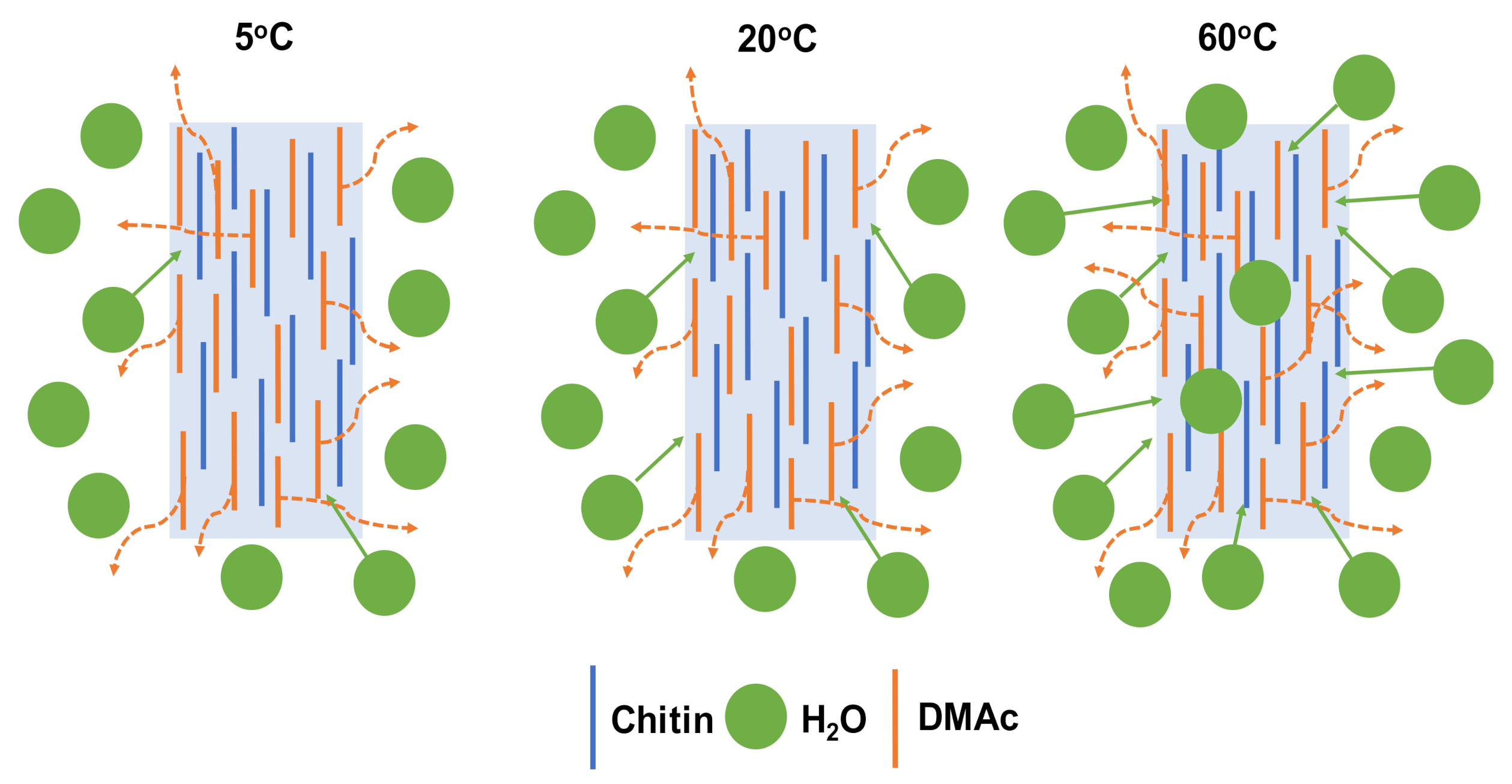 Polymers 13 01909 g006