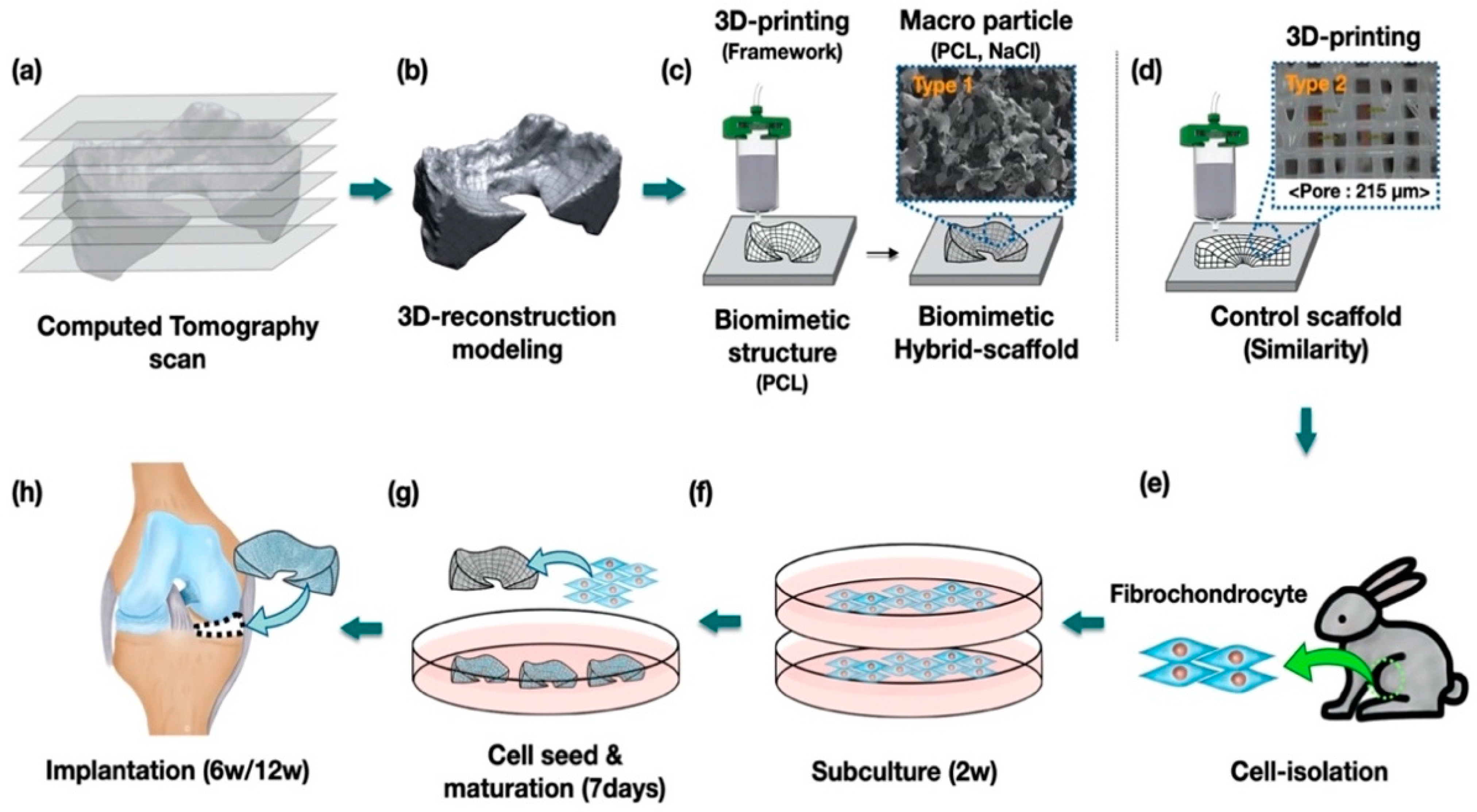 Polymers 13 01910 g001 Polymers 13 01910 g001