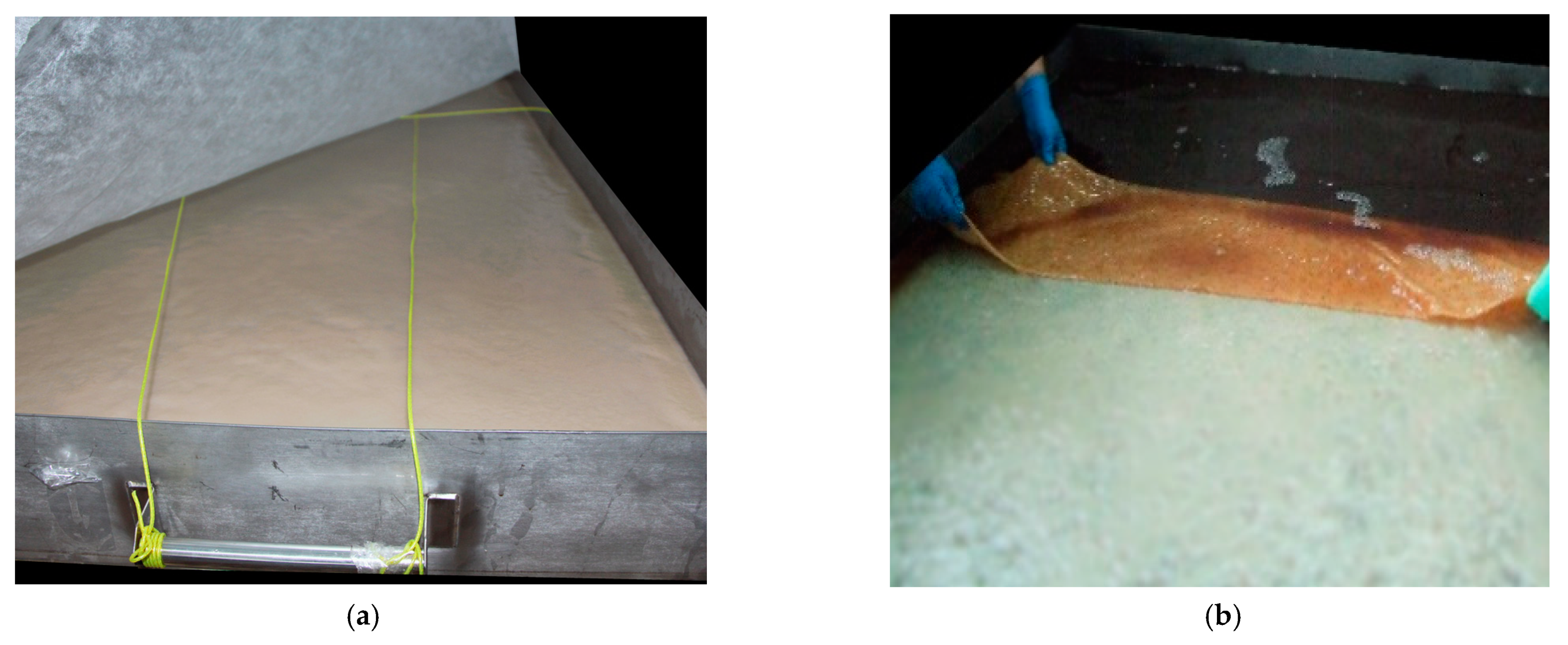 Polymers 13 01920 g001