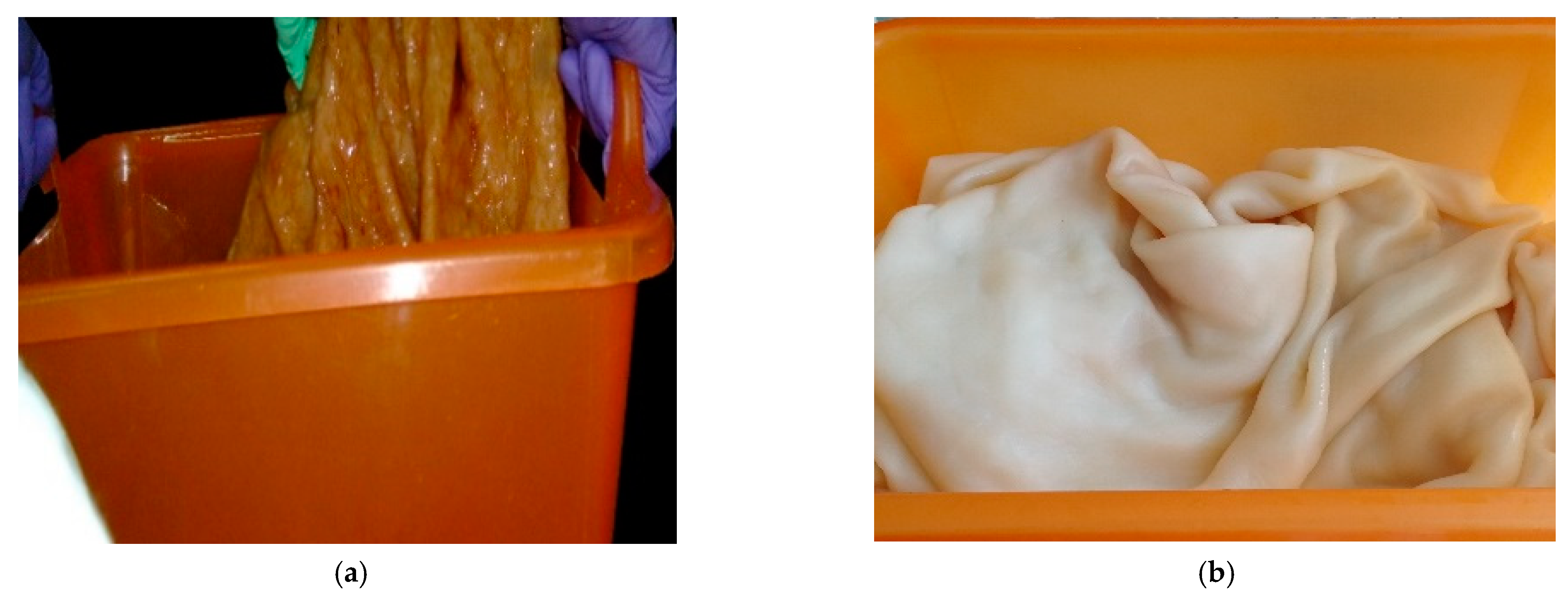 Polymers 13 01920 g002