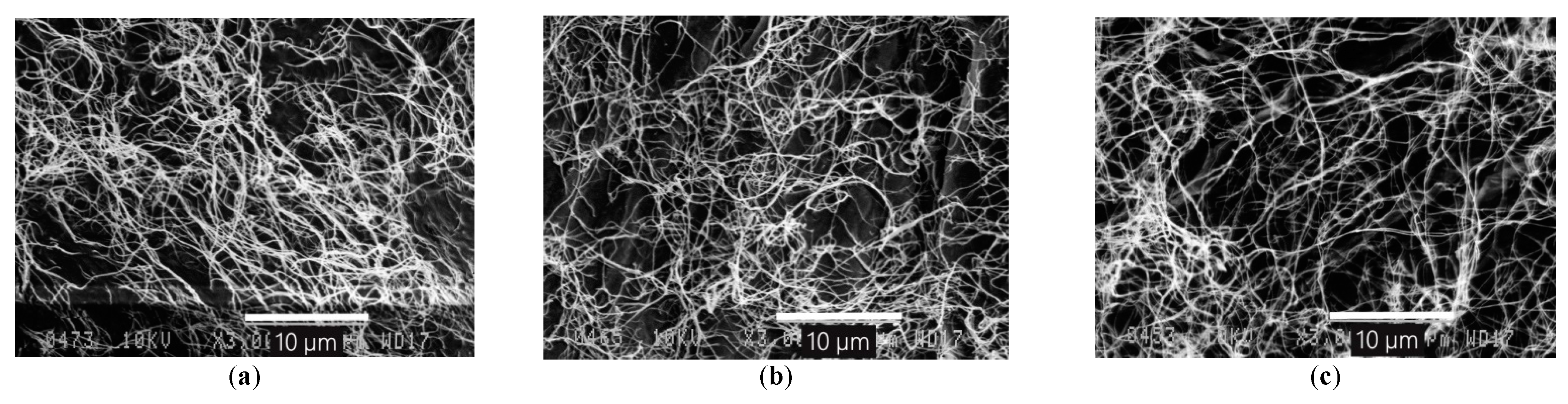 Polymers 13 01920 g004
