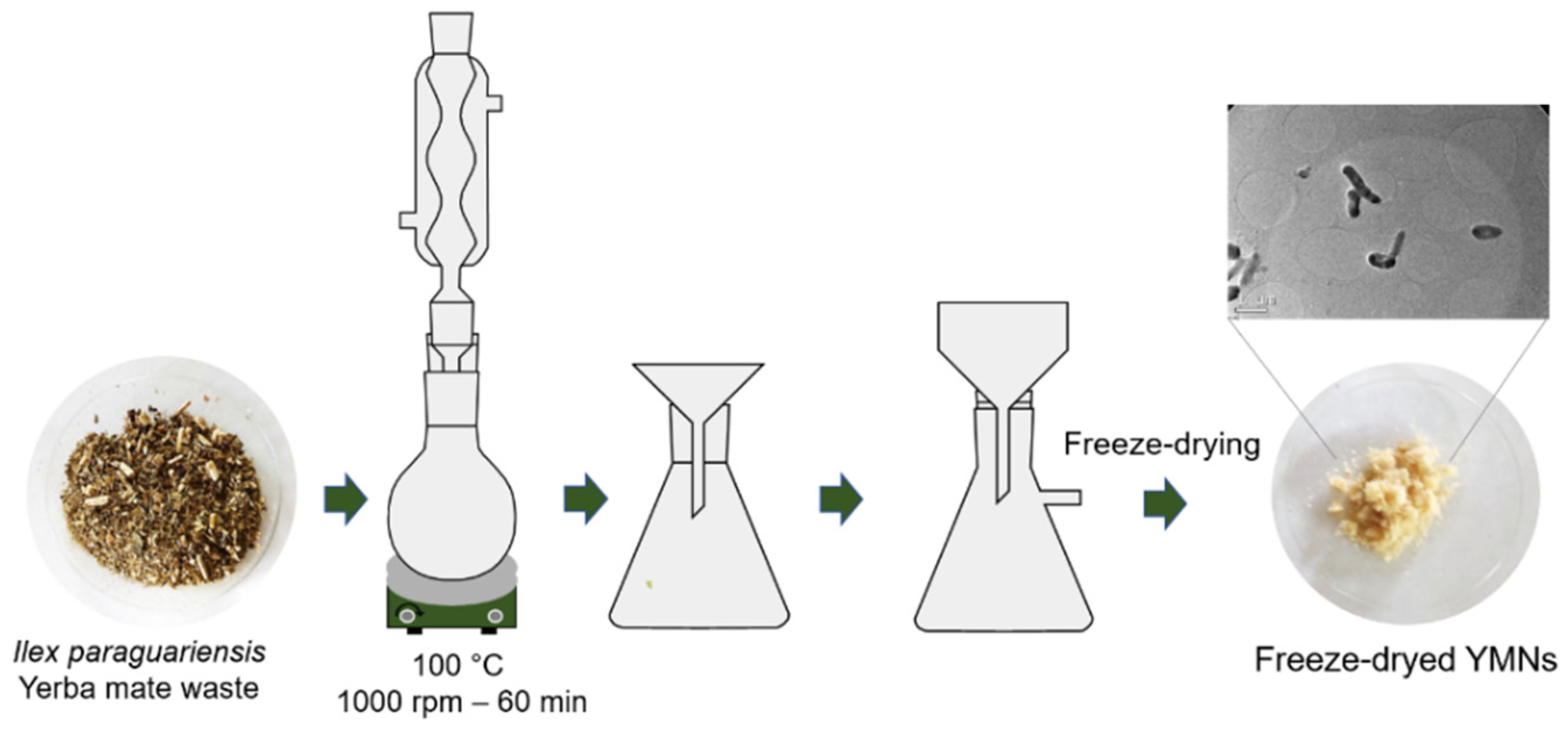 Polymers 13 01925 g001 Polymers 13 01925 g001