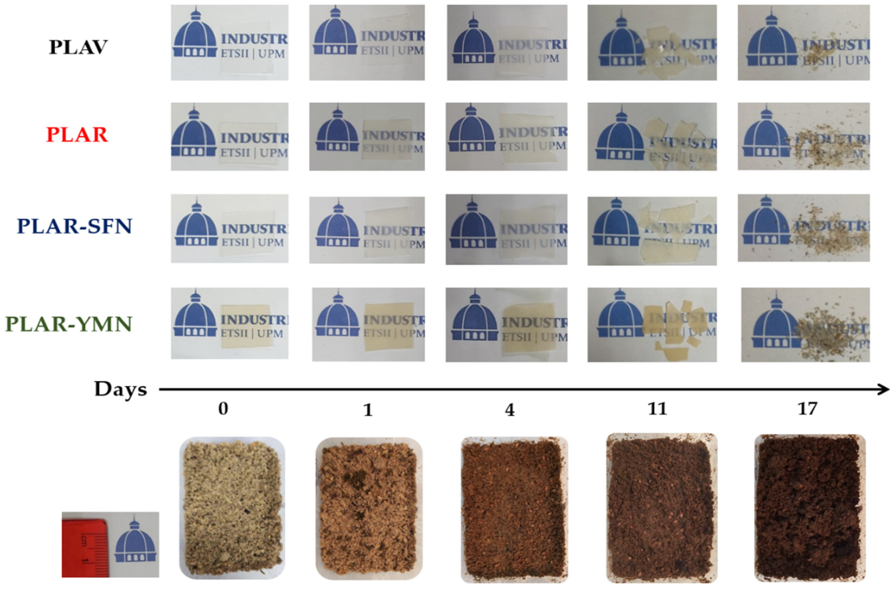 Polymers 13 01925 g010 Polymers 13 01925 g010