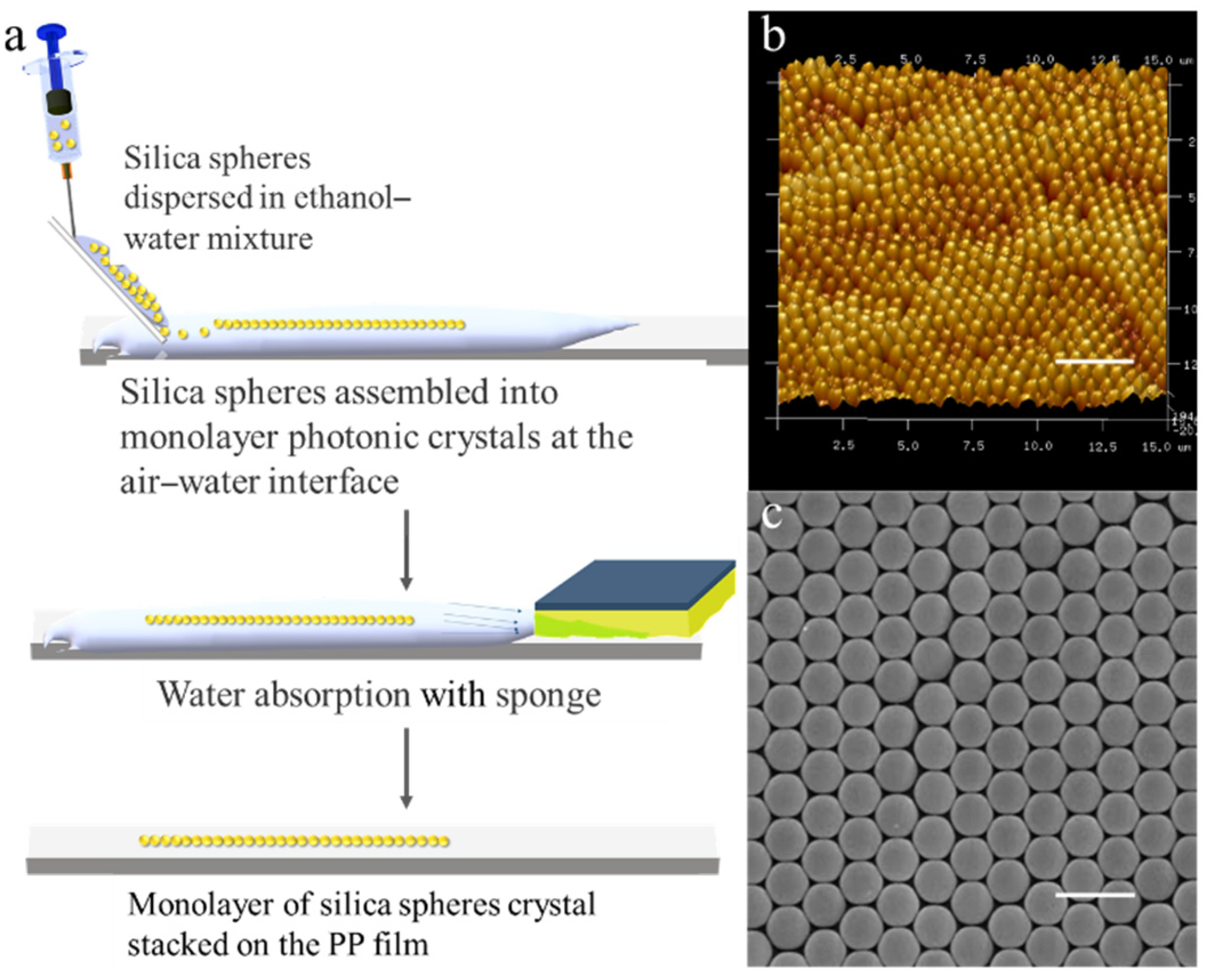 Polymers 13 01926 g001 Polymers 13 01926 g001