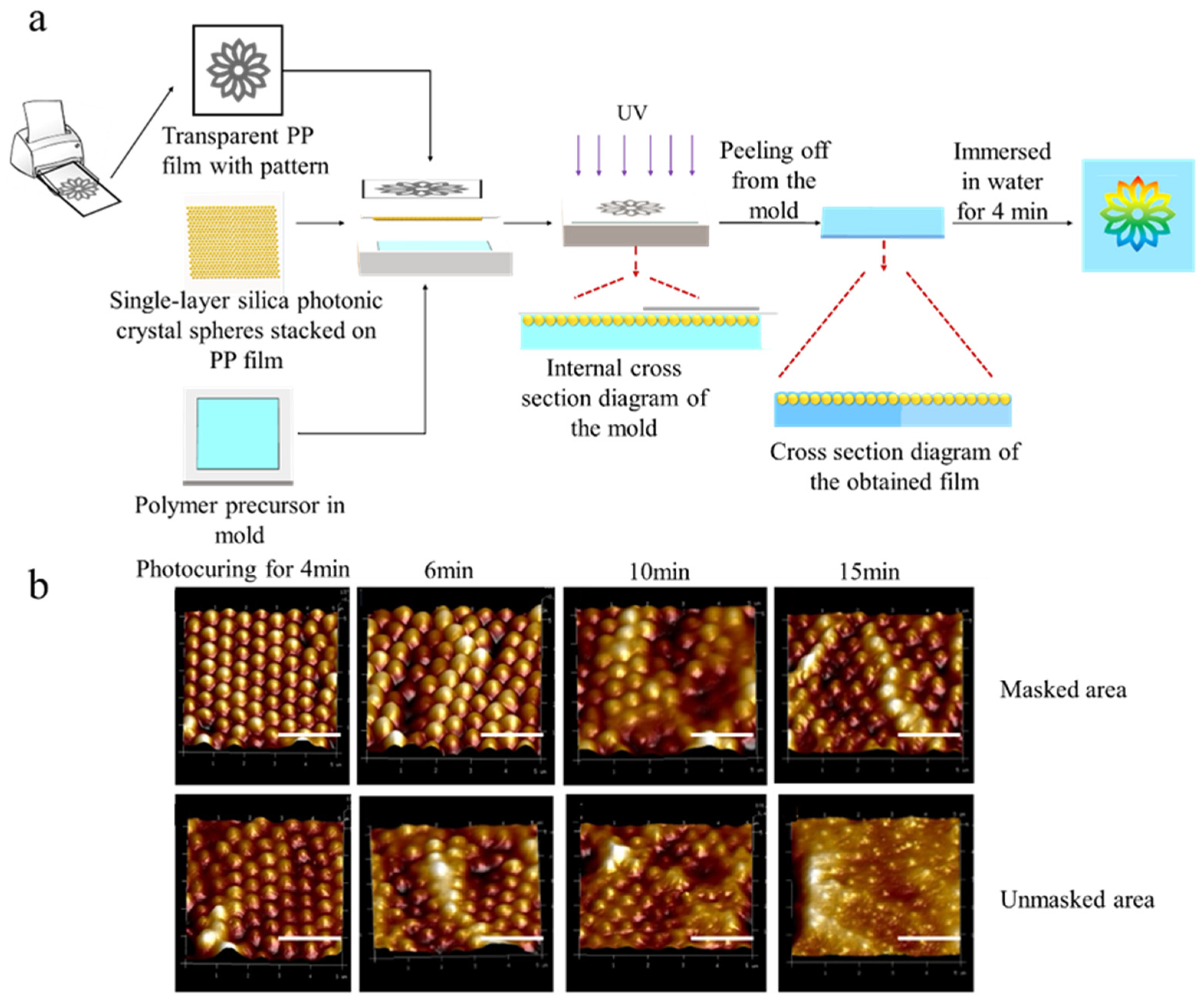 Polymers 13 01926 g002 Polymers 13 01926 g002