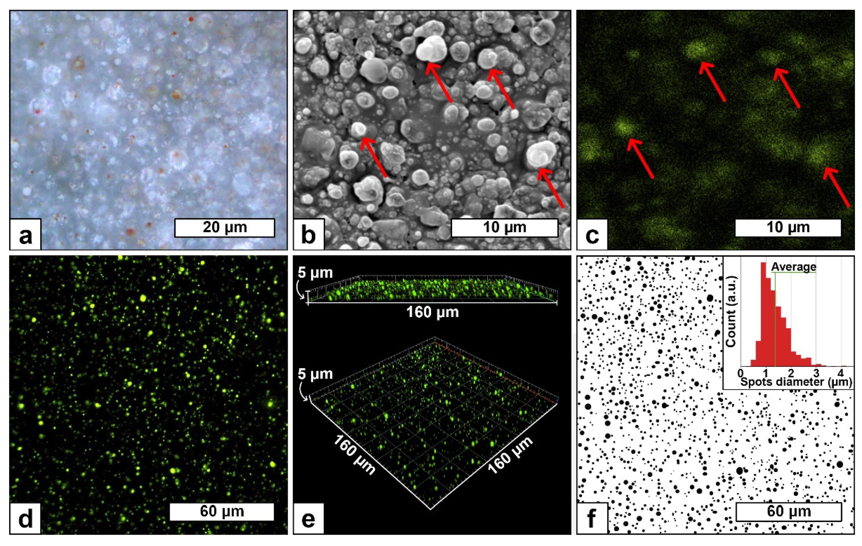 Polymers 13 01931 g003