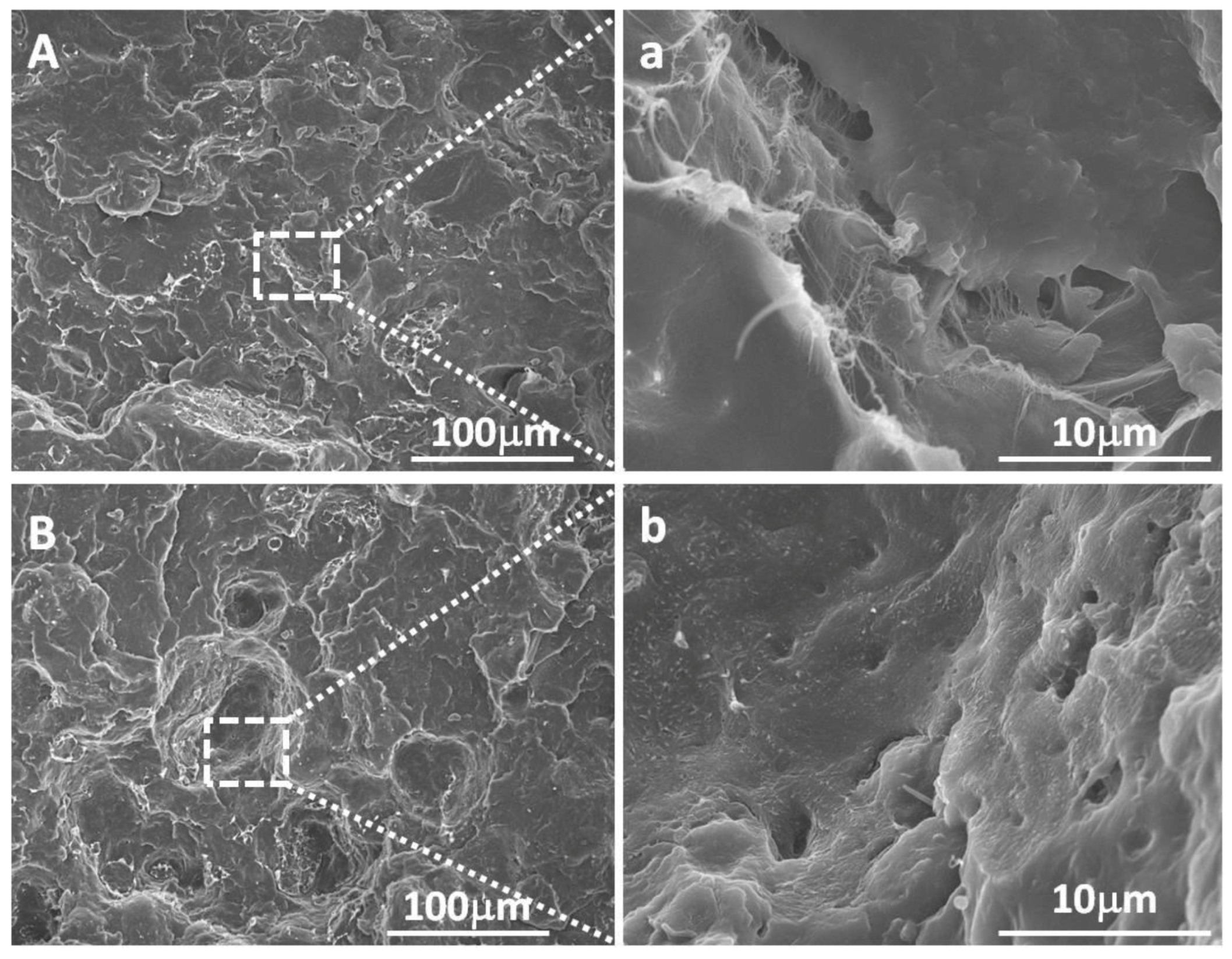 Polymers 13 01933 g001