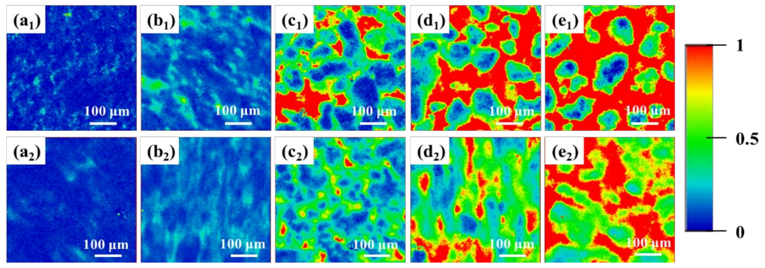Polymers 13 01933 g002