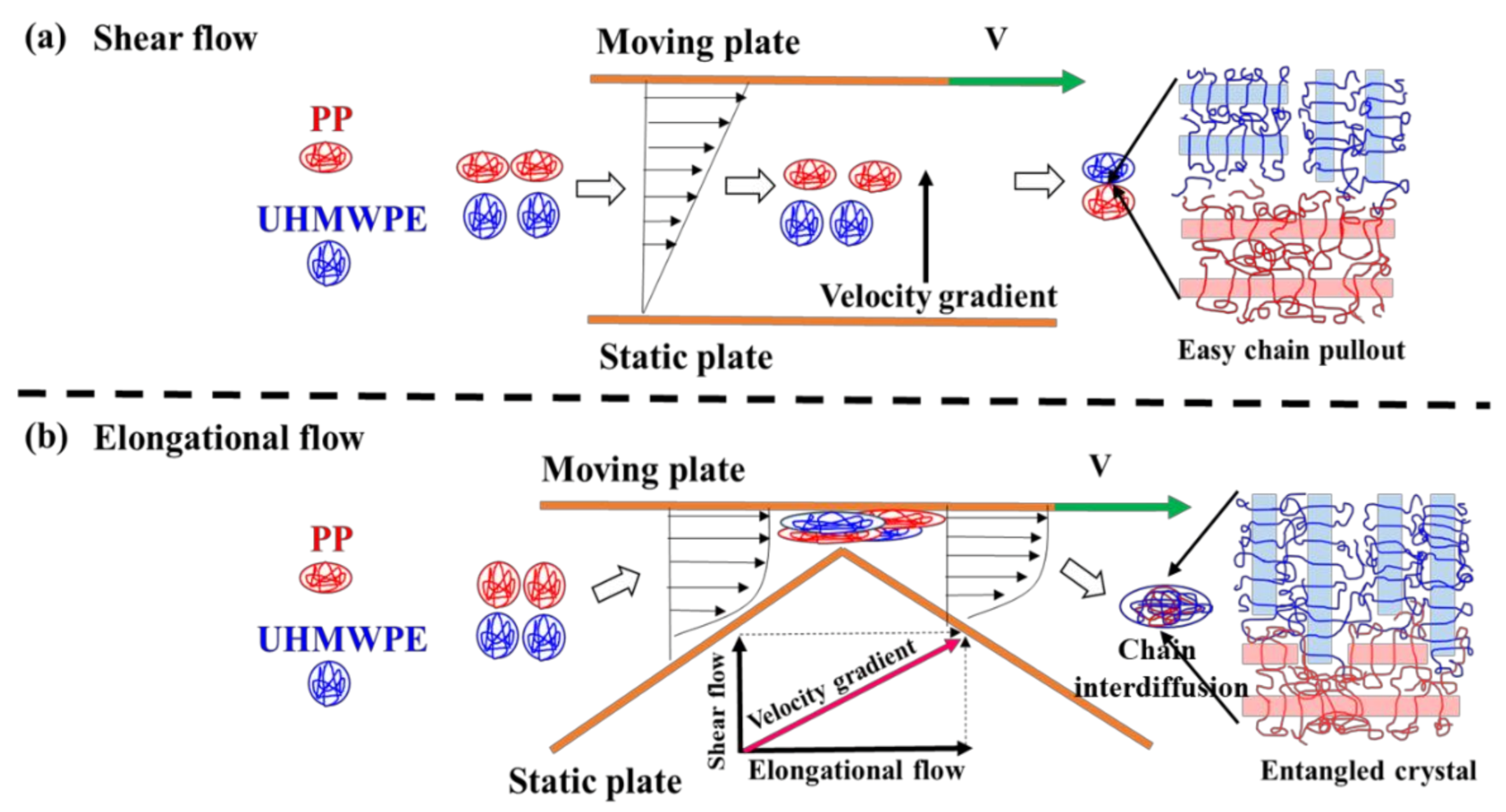 Polymers 13 01933 g006