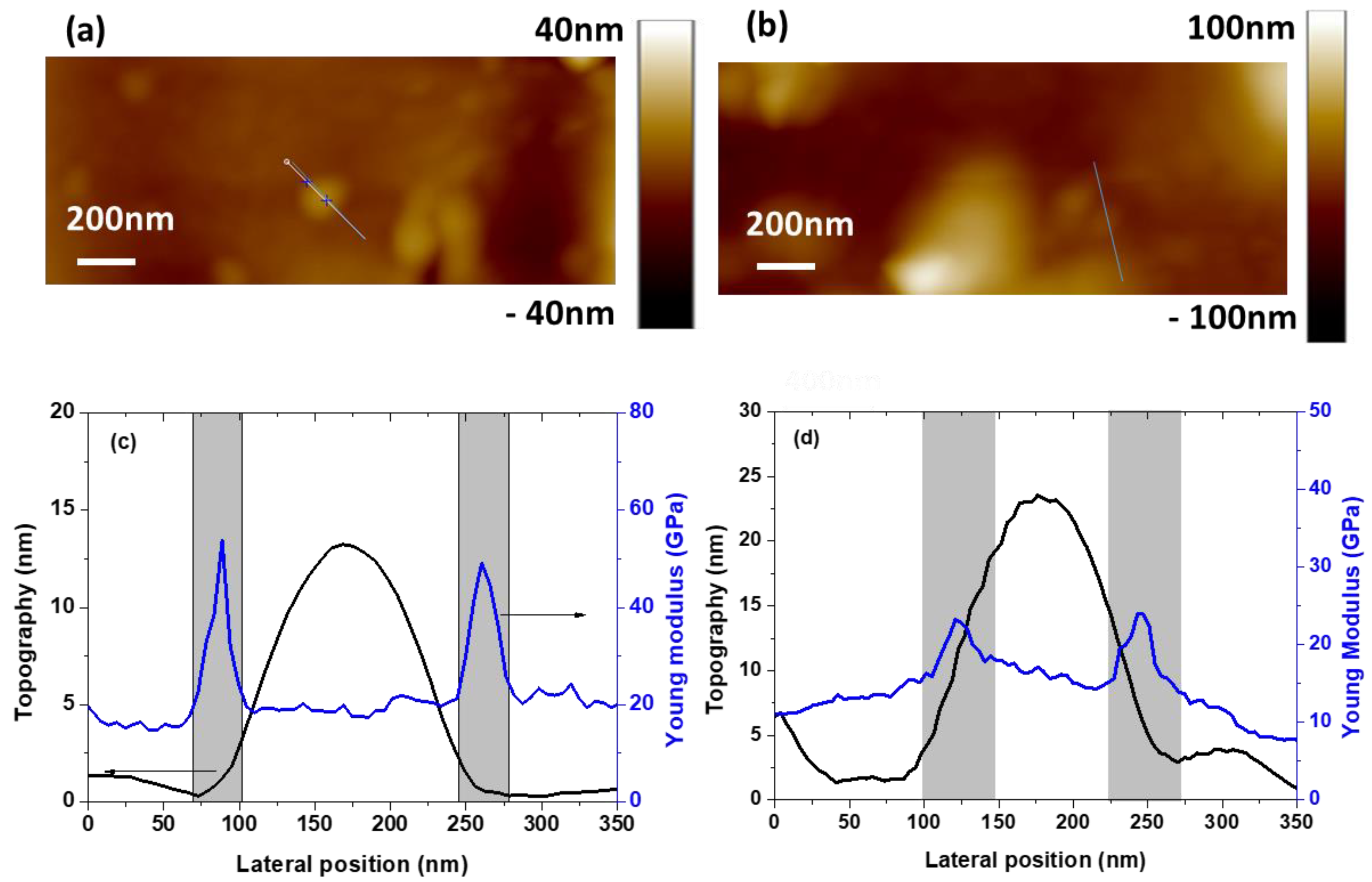Polymers 13 01936 g004