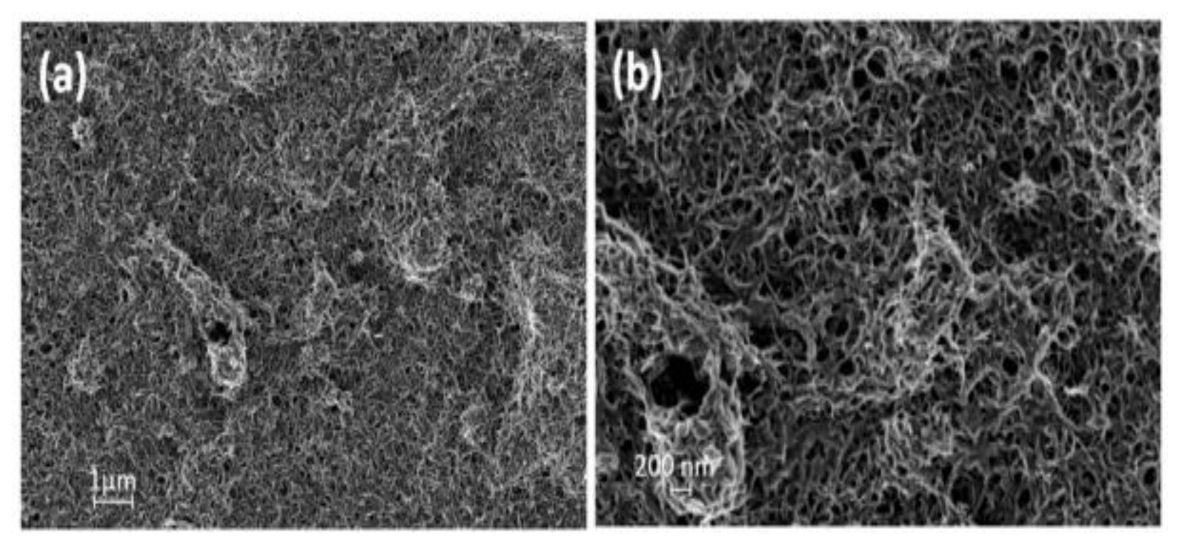 Polymers 13 01939 g003