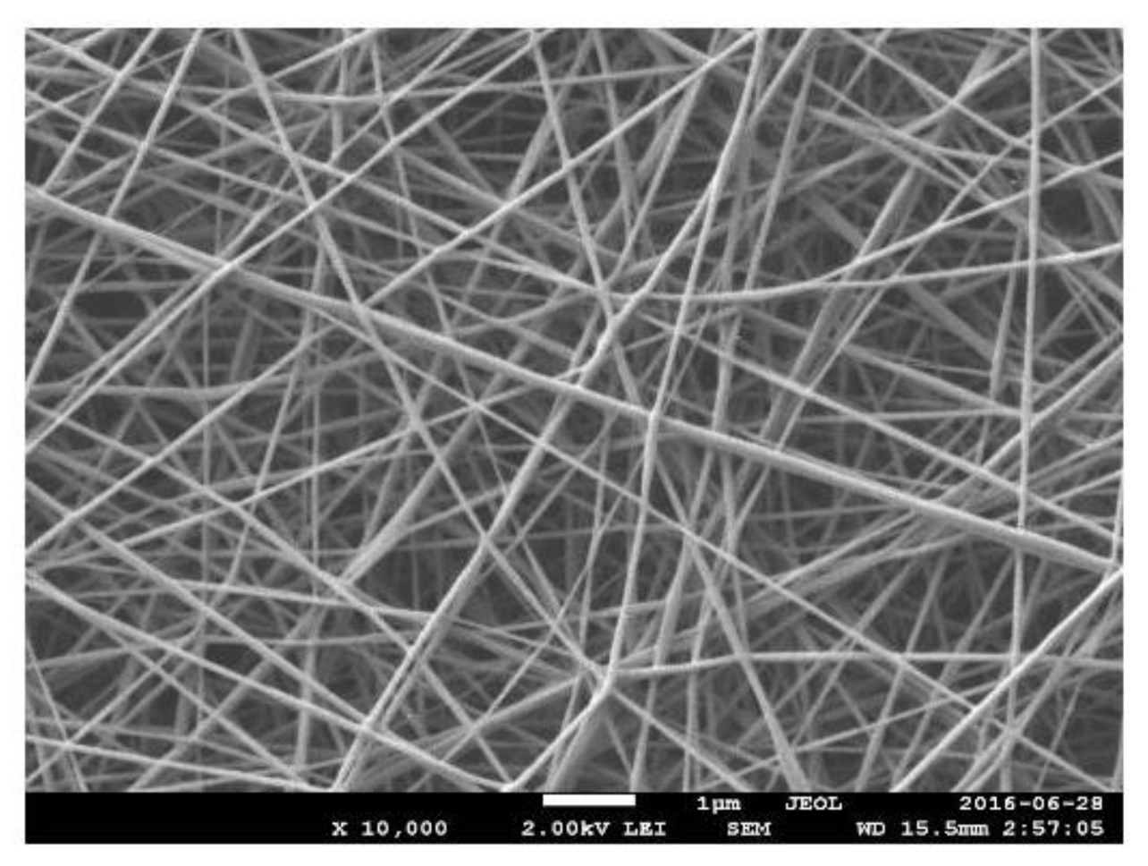 Polymers 13 01939 g005