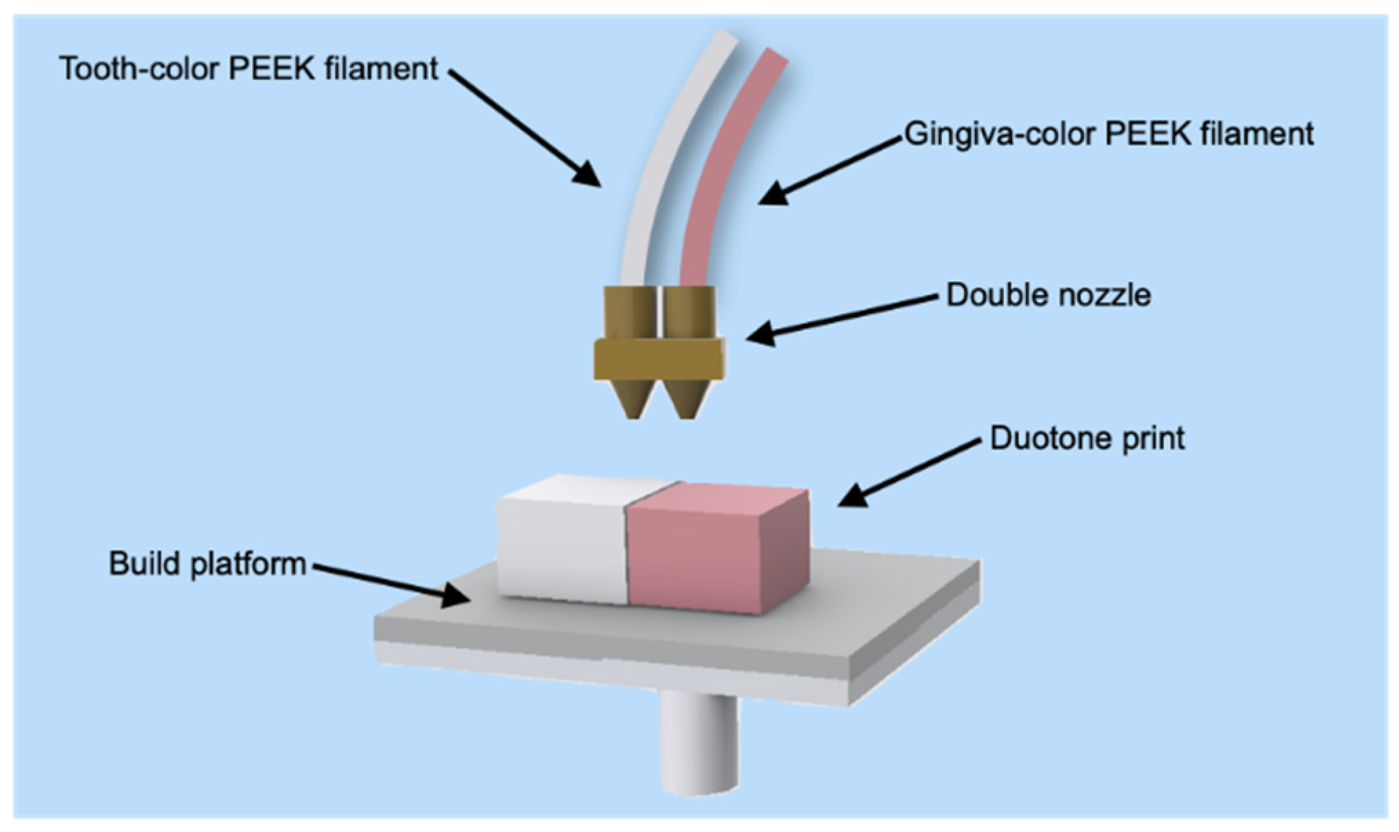 Polymers 13 01949 g003