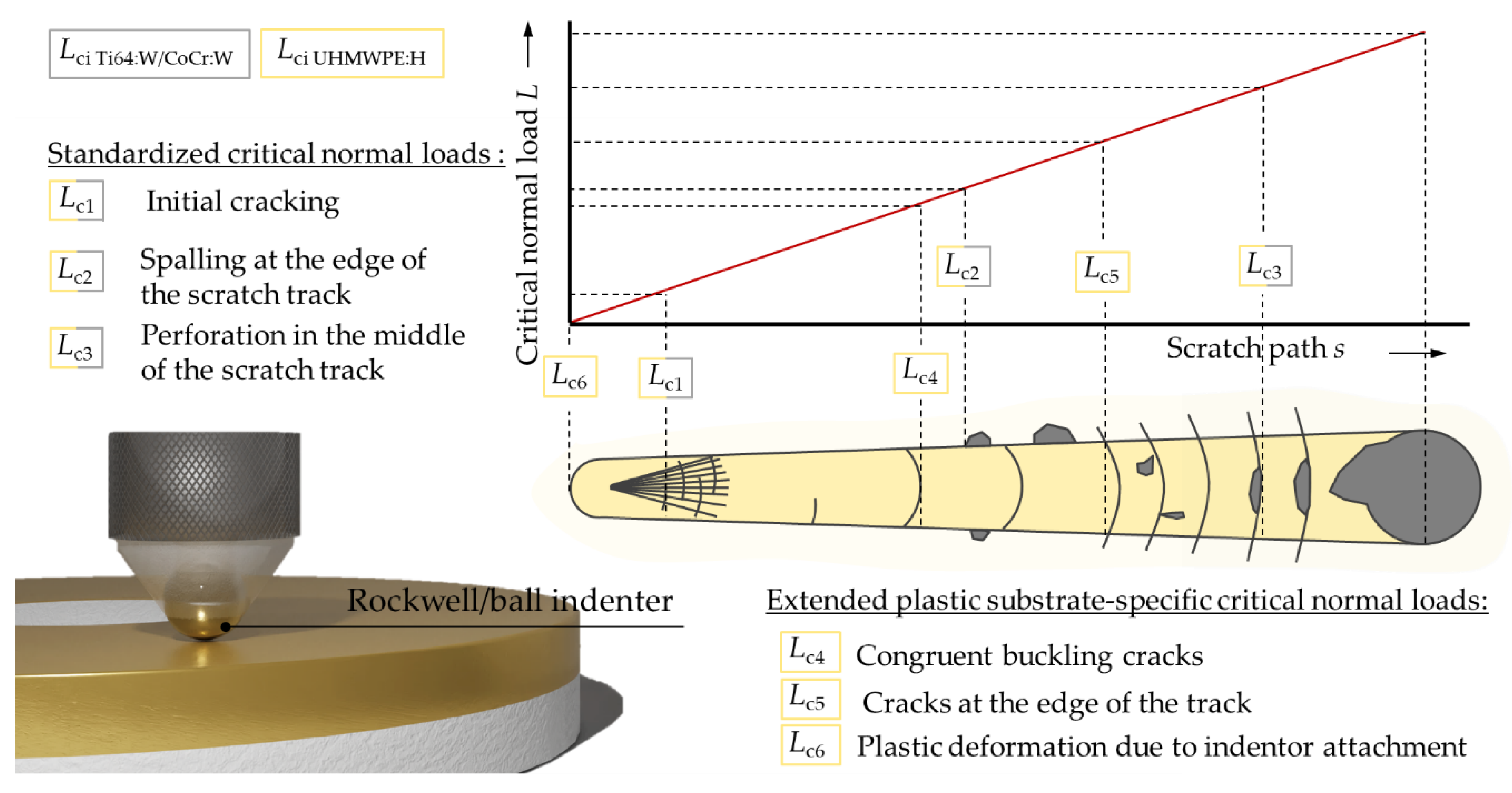 Polymers 13 01952 g002