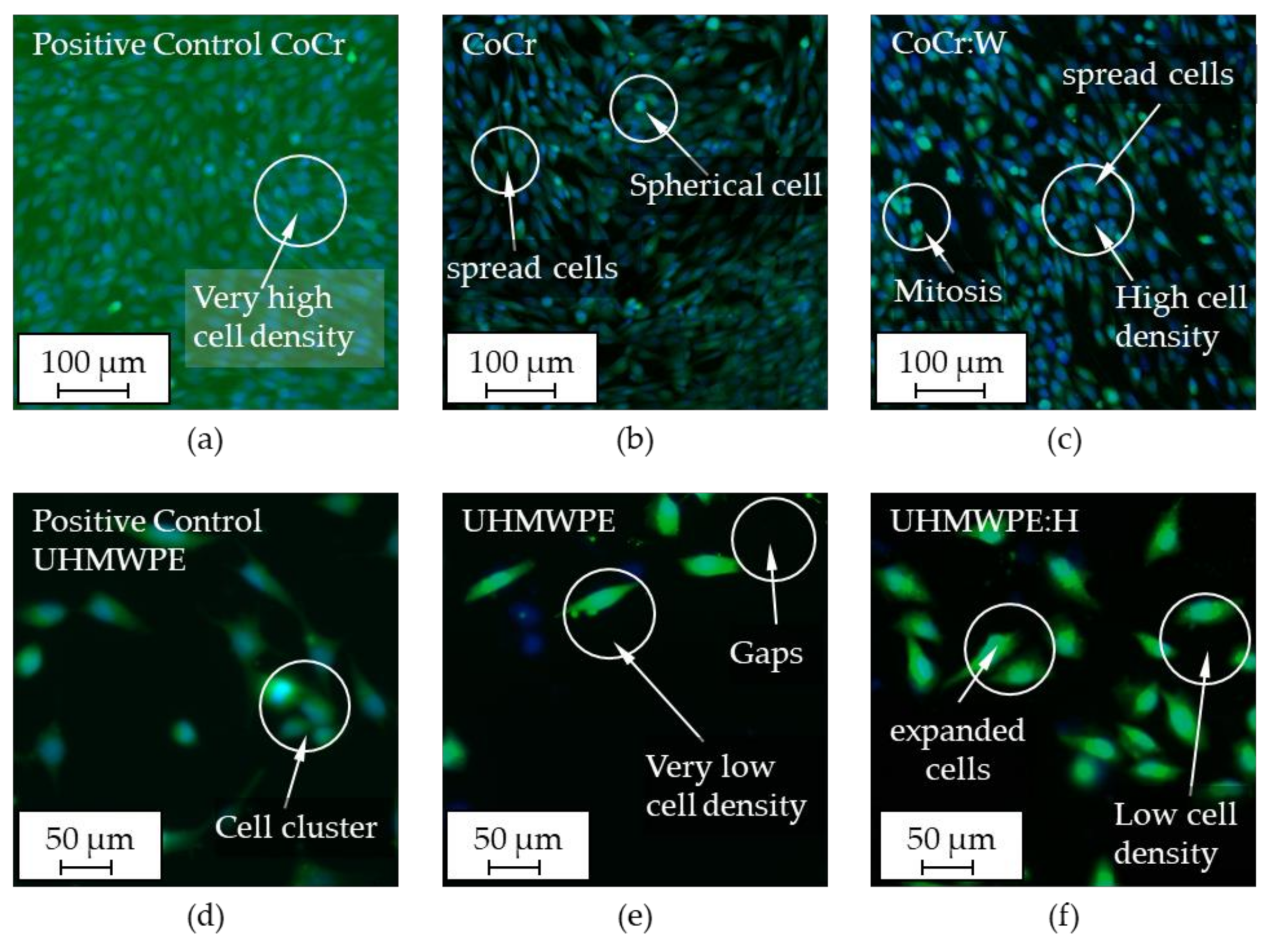 Polymers 13 01952 g011