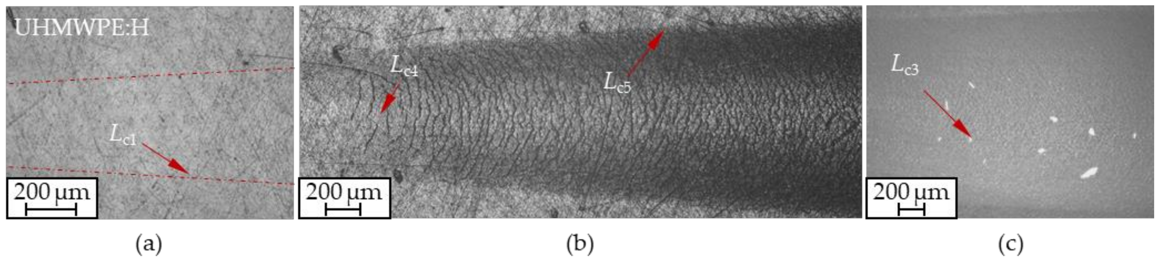 Polymers 13 01952 g015