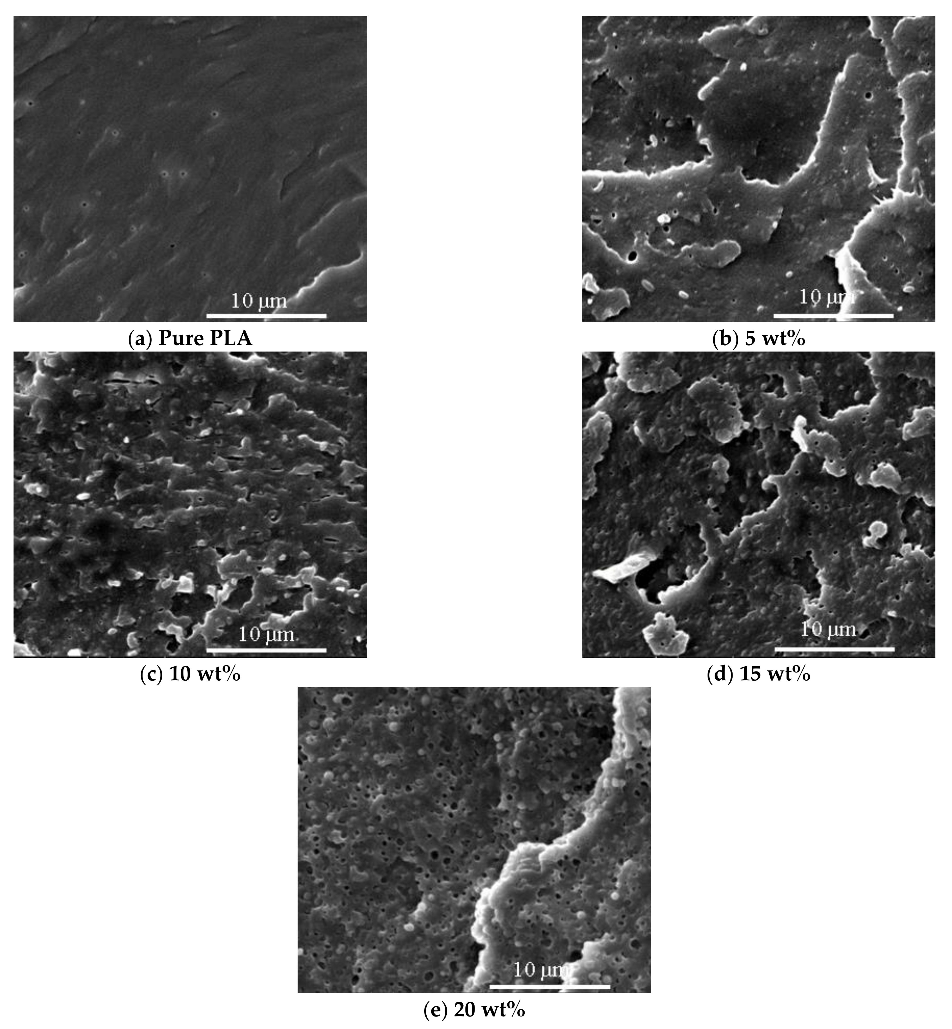 Polymers 13 01953 g012