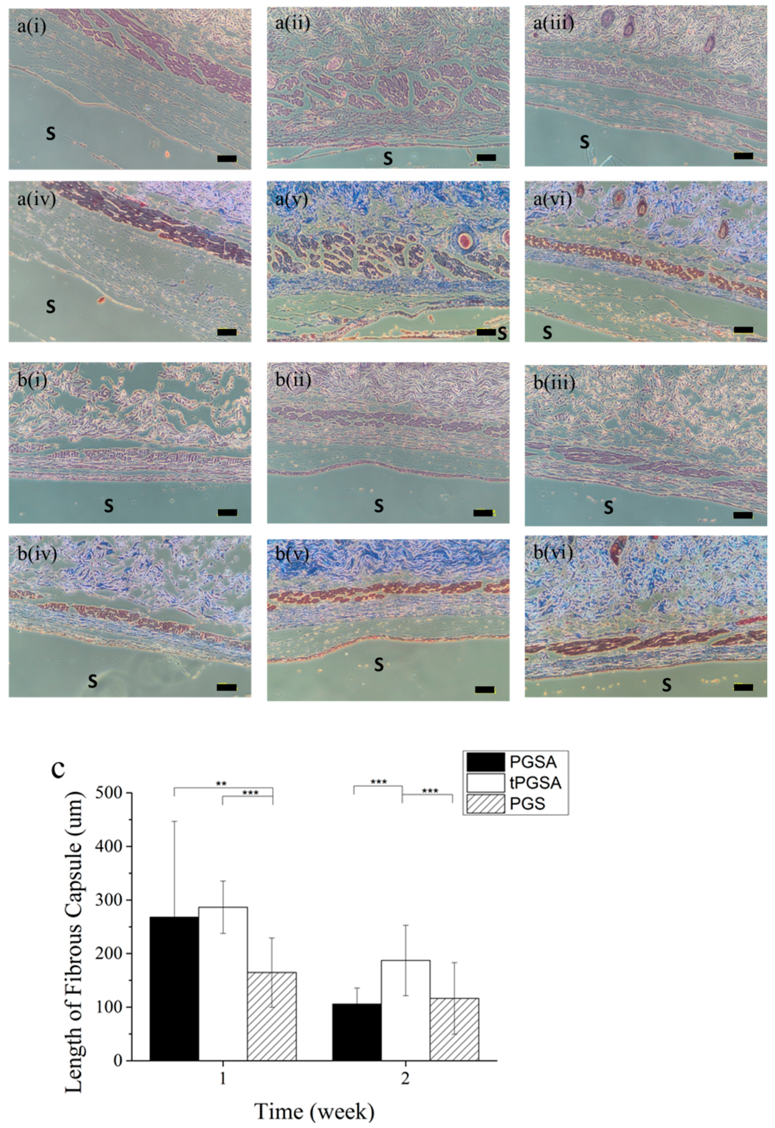 Polymers 13 01960 g006 Polymers 13 01960 g006