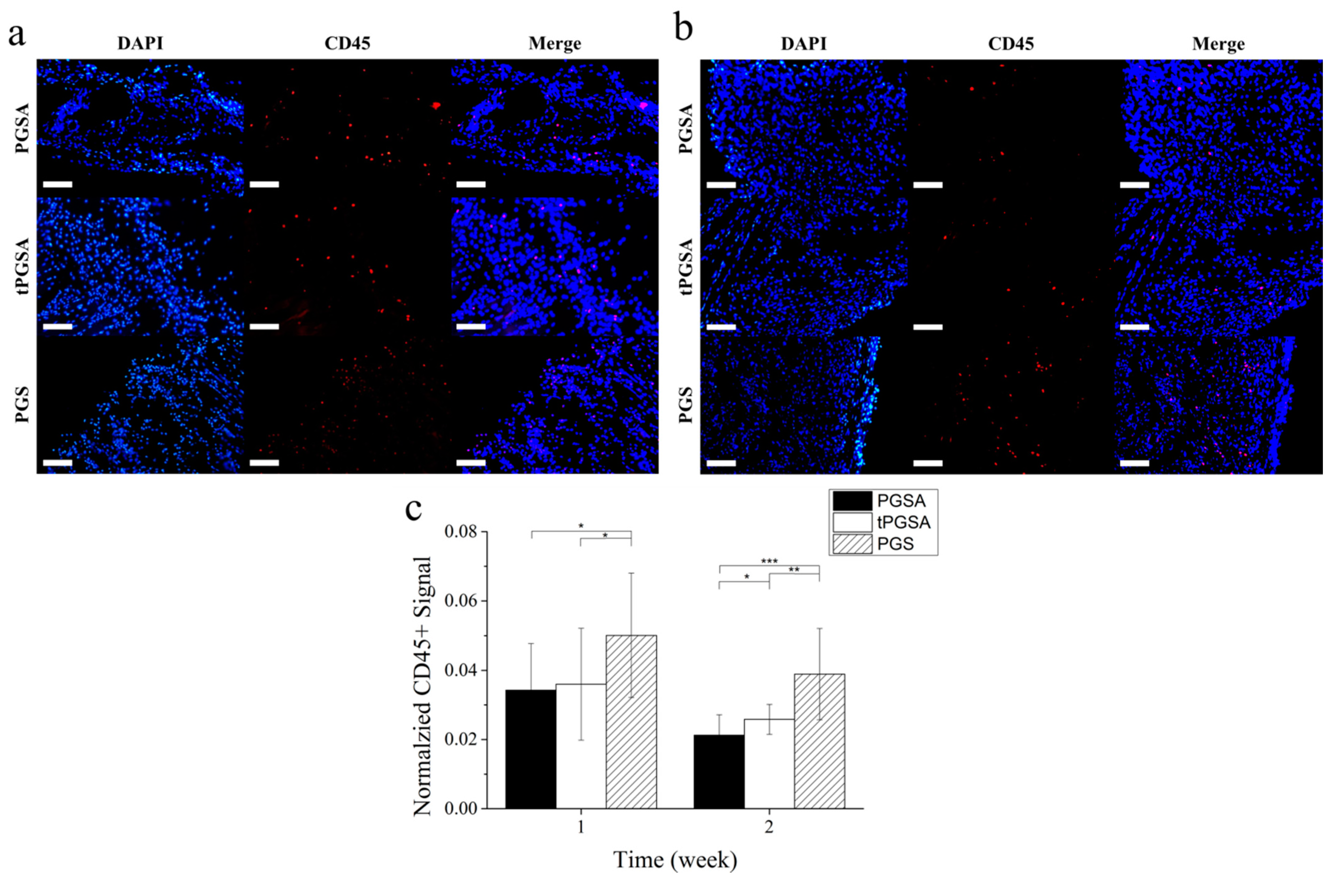 Polymers 13 01960 g007 Polymers 13 01960 g007