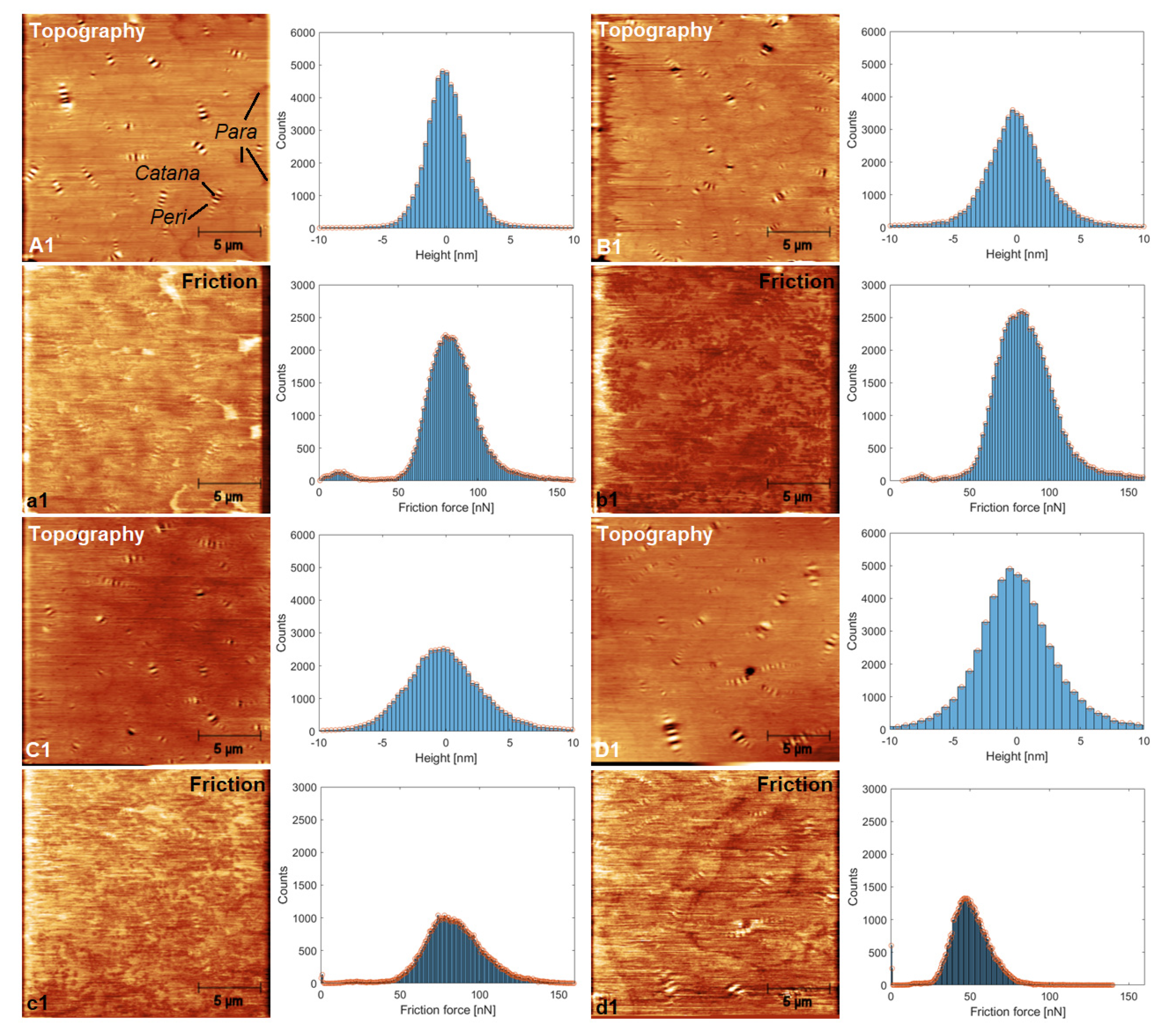 Polymers 13 01963 g006