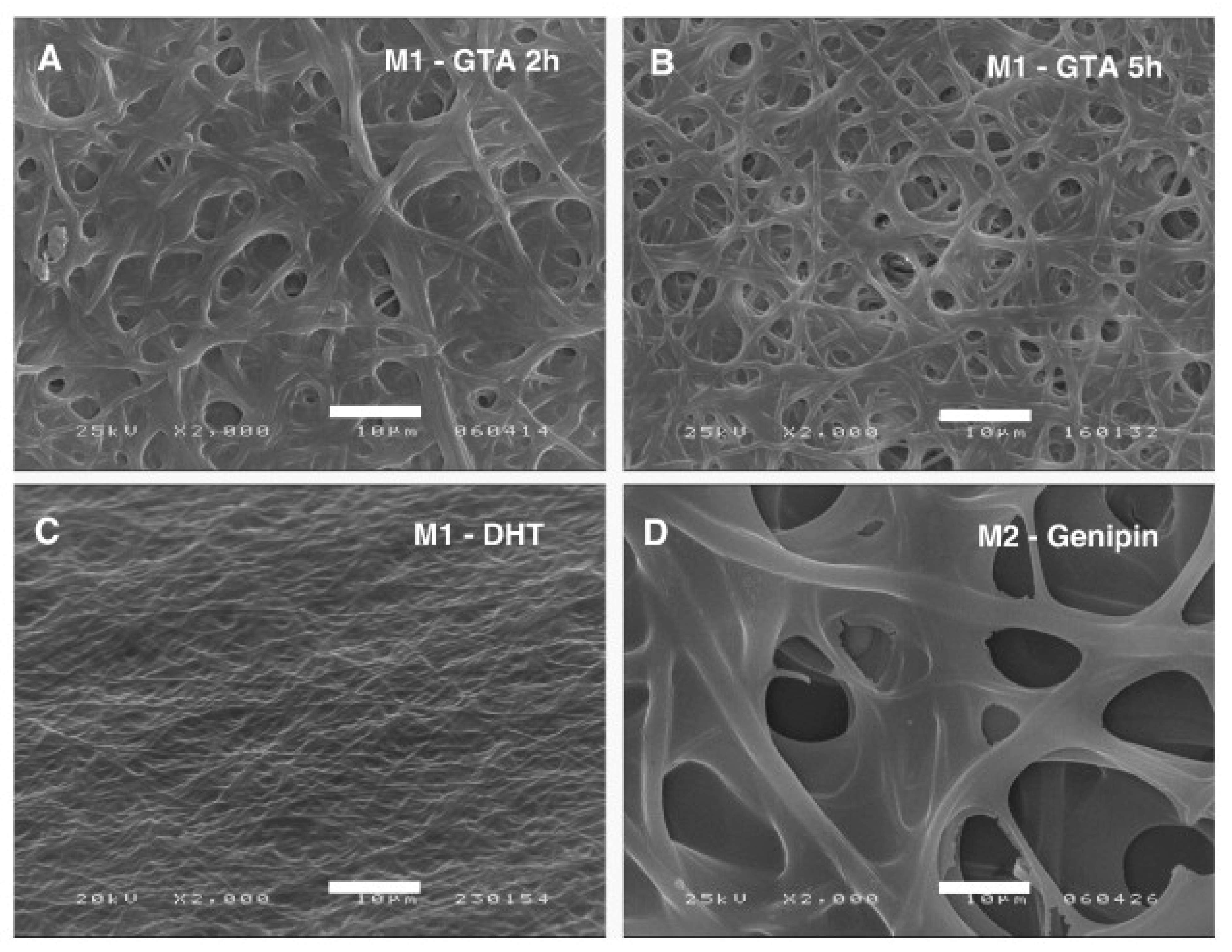 Polymers 13 01973 g002 Polymers 13 01973 g002
