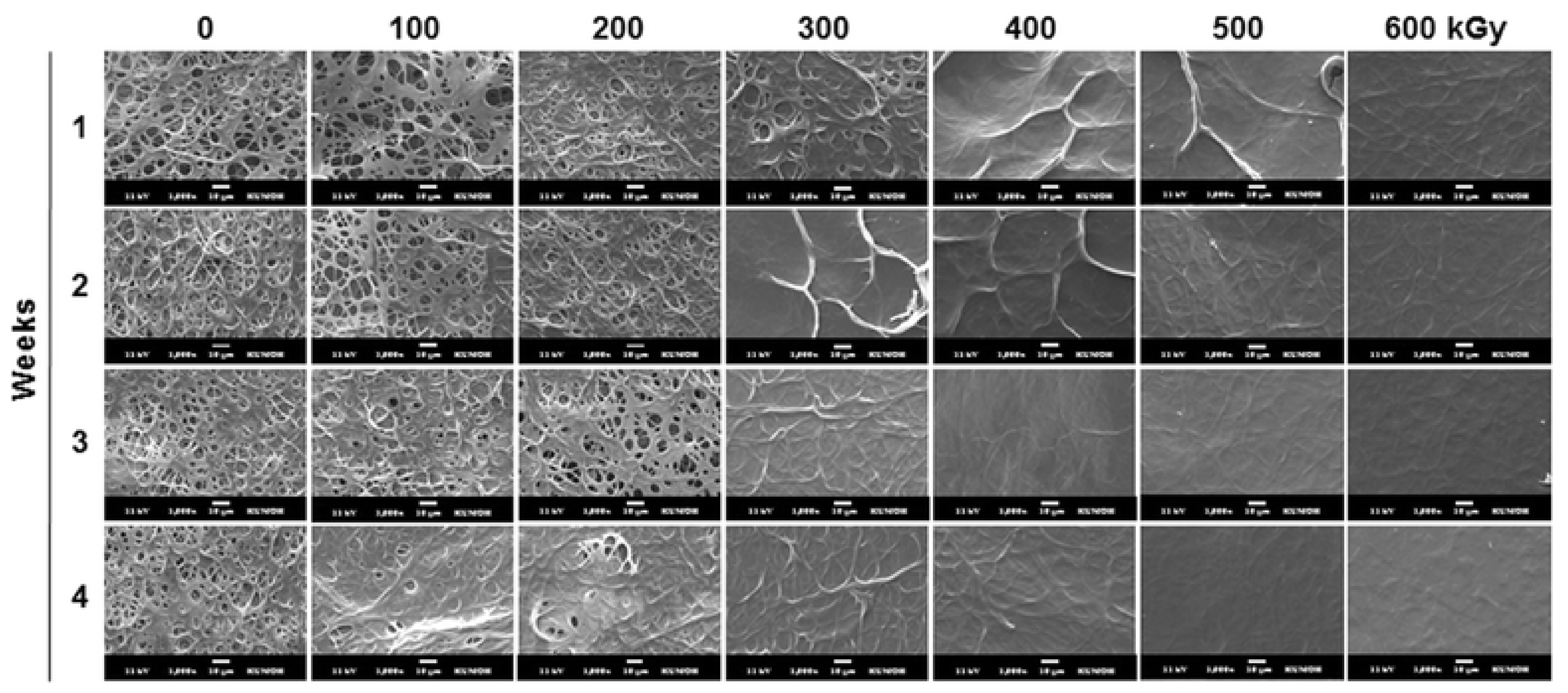 Polymers 13 01973 g003 Polymers 13 01973 g003