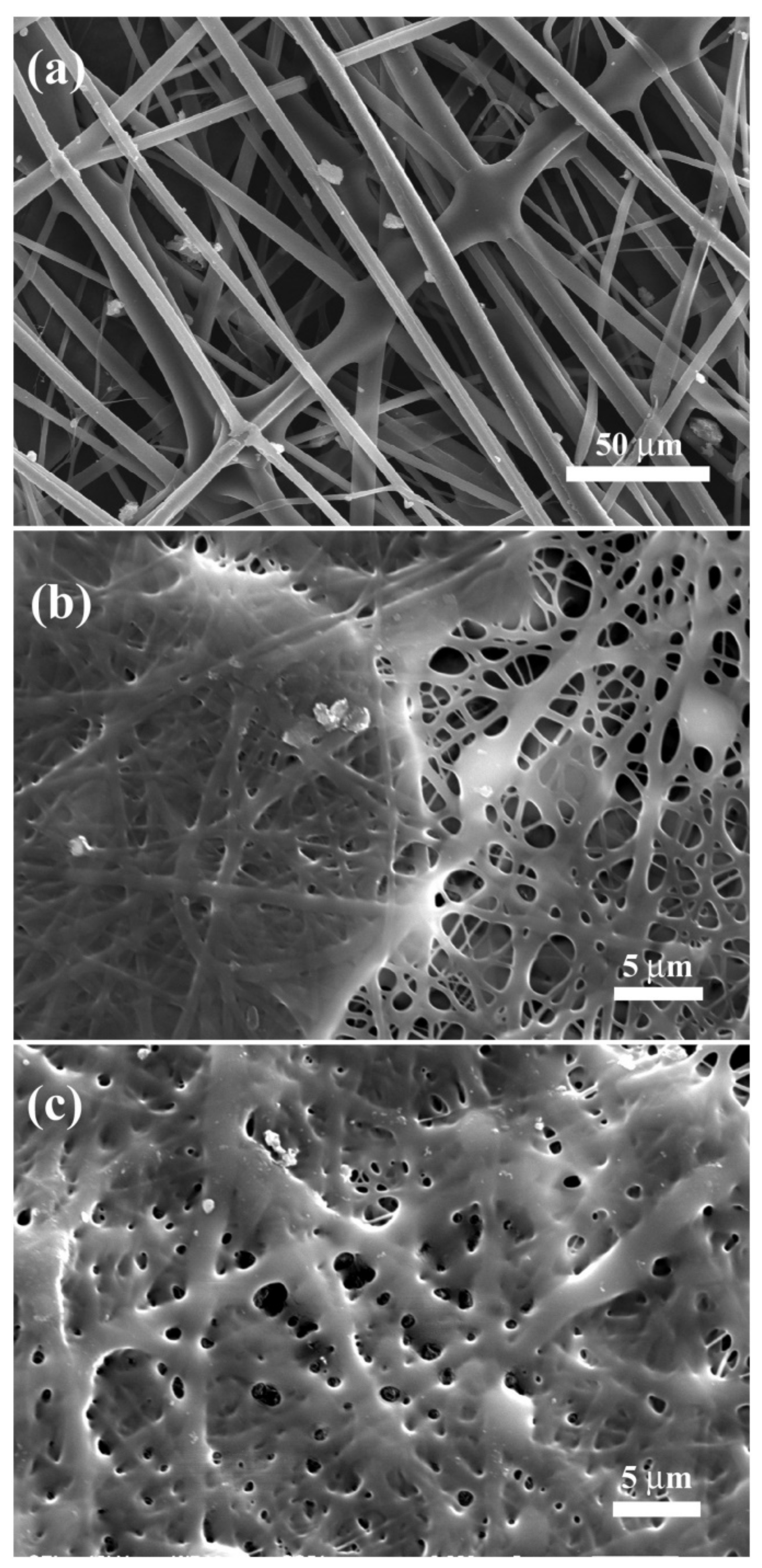 Polymers 13 01973 g008 Polymers 13 01973 g008
