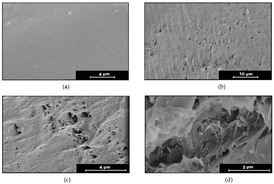 Polymers 13 01982 g006