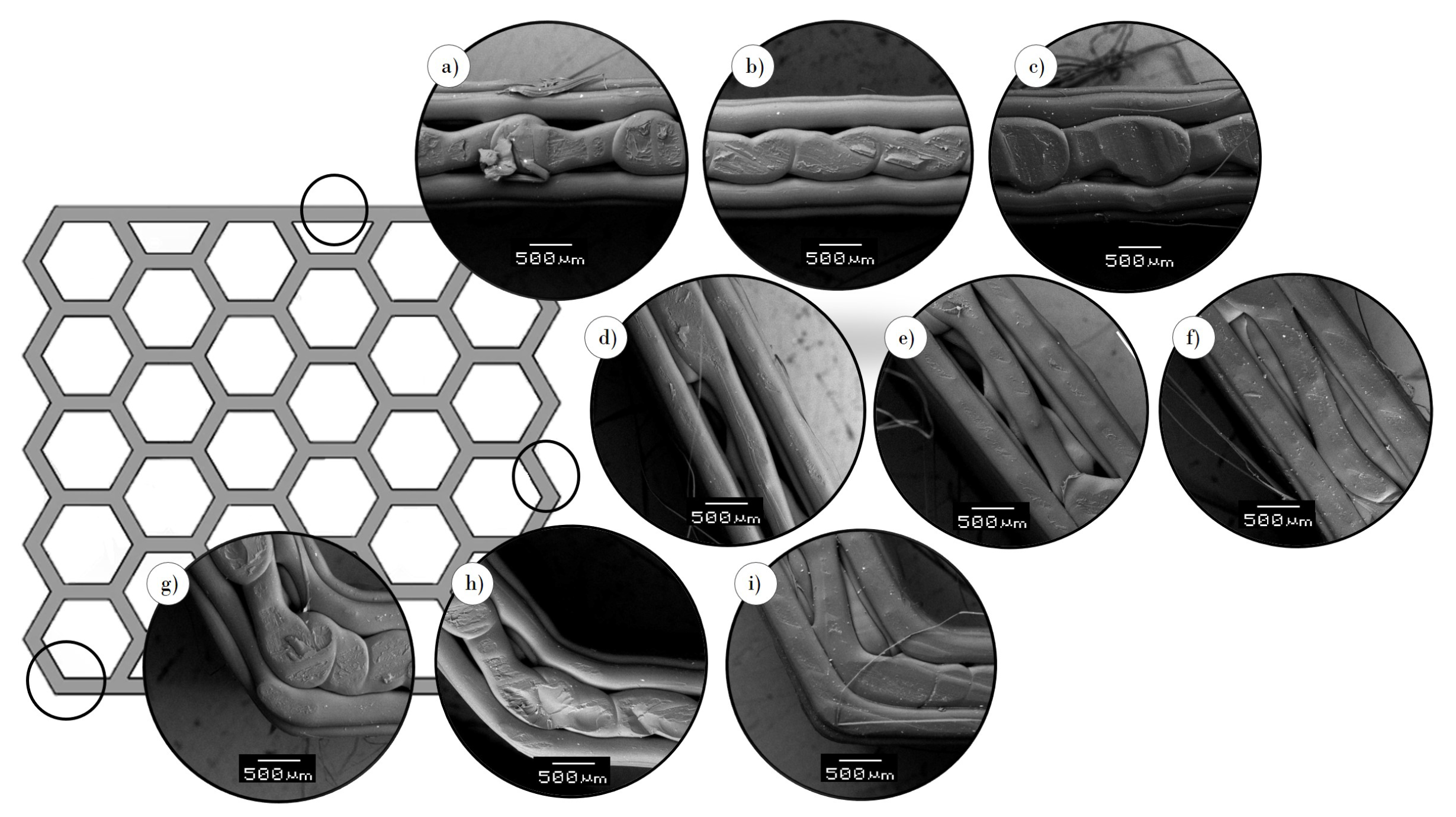 Polymers 13 01983 g004 Polymers 13 01983 g004