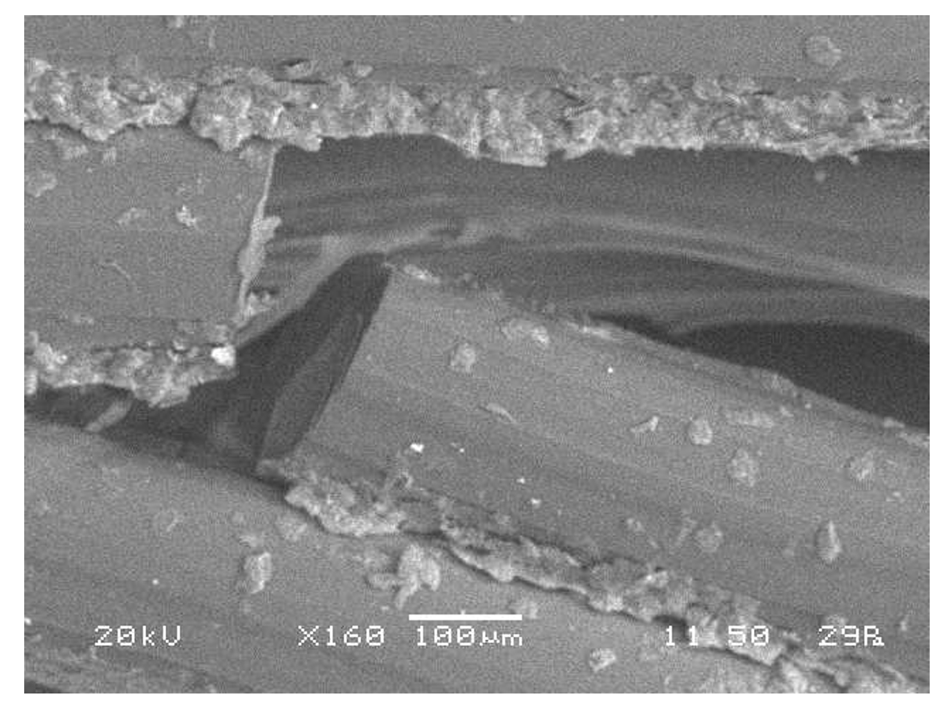 Polymers 13 01983 g006 Polymers 13 01983 g006
